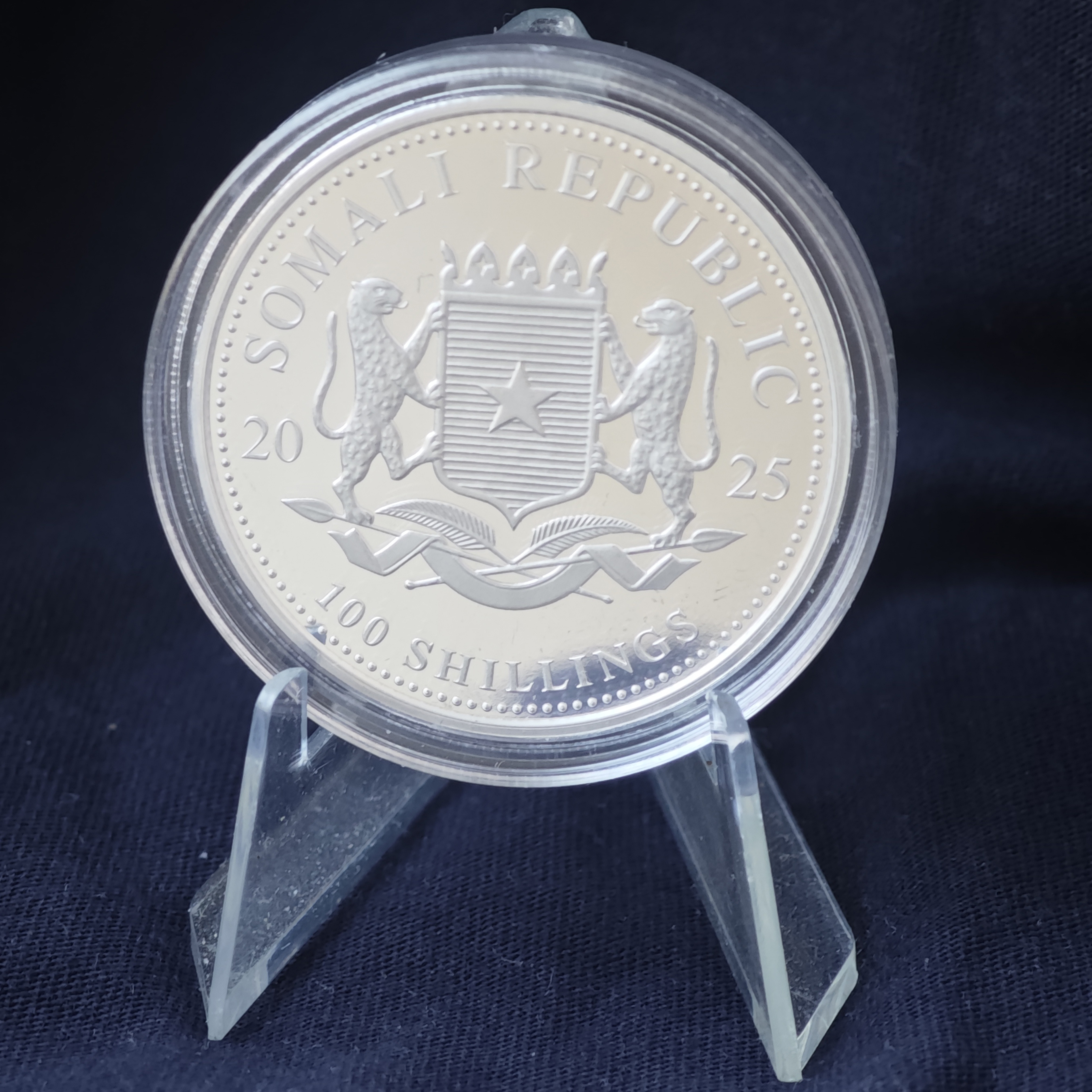 Дикая природа Африки: сомалийский слон 2025