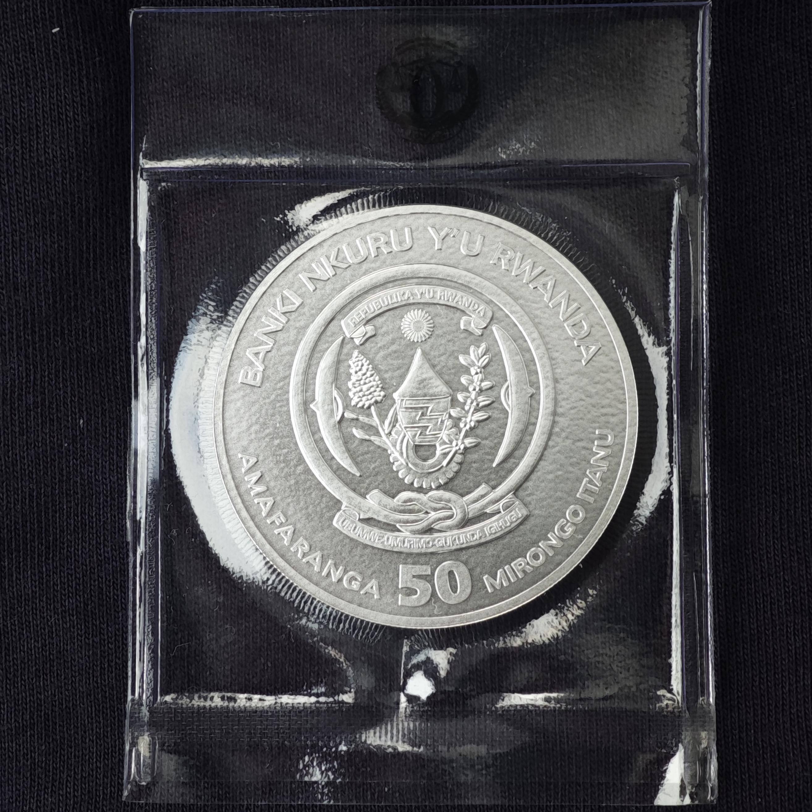 Руанда: африканская унция – пятнистая гиена 2026