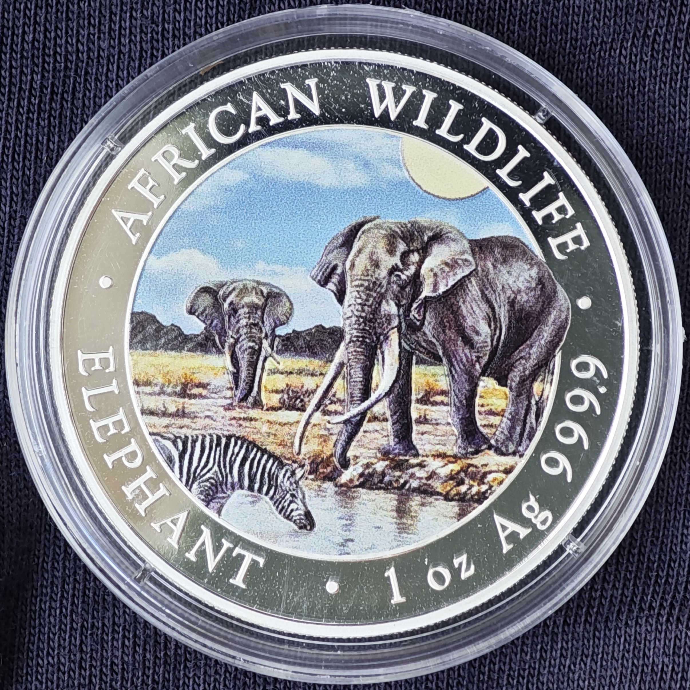 Сомали: Дикая природа Африки – Слон 2026 (цветной)