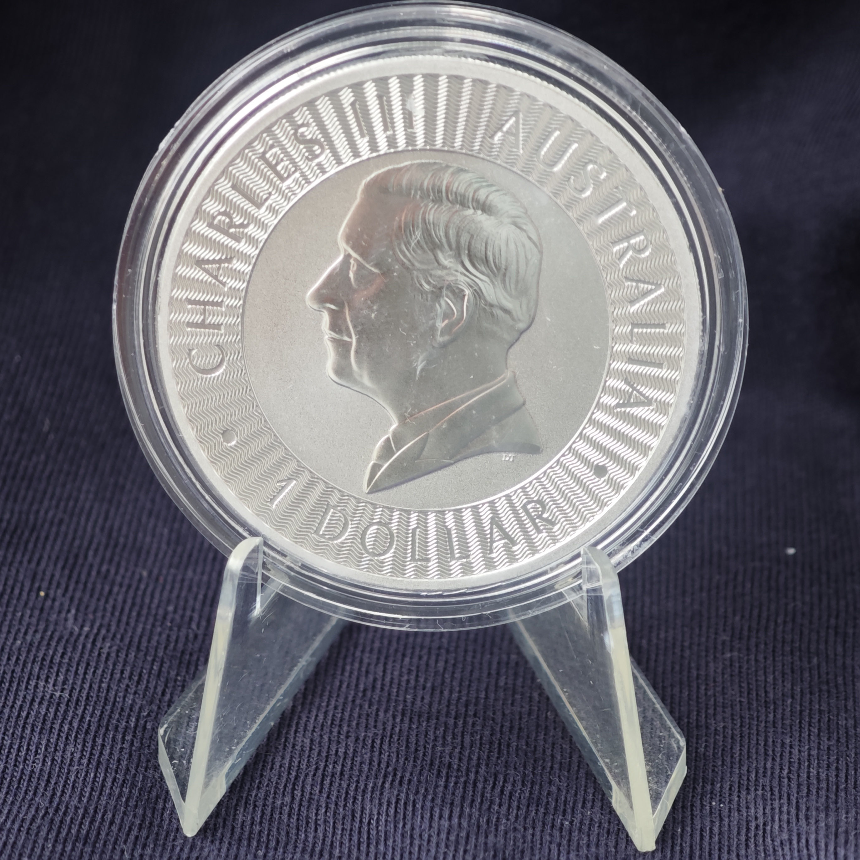 Австралийский кенгуру 2026