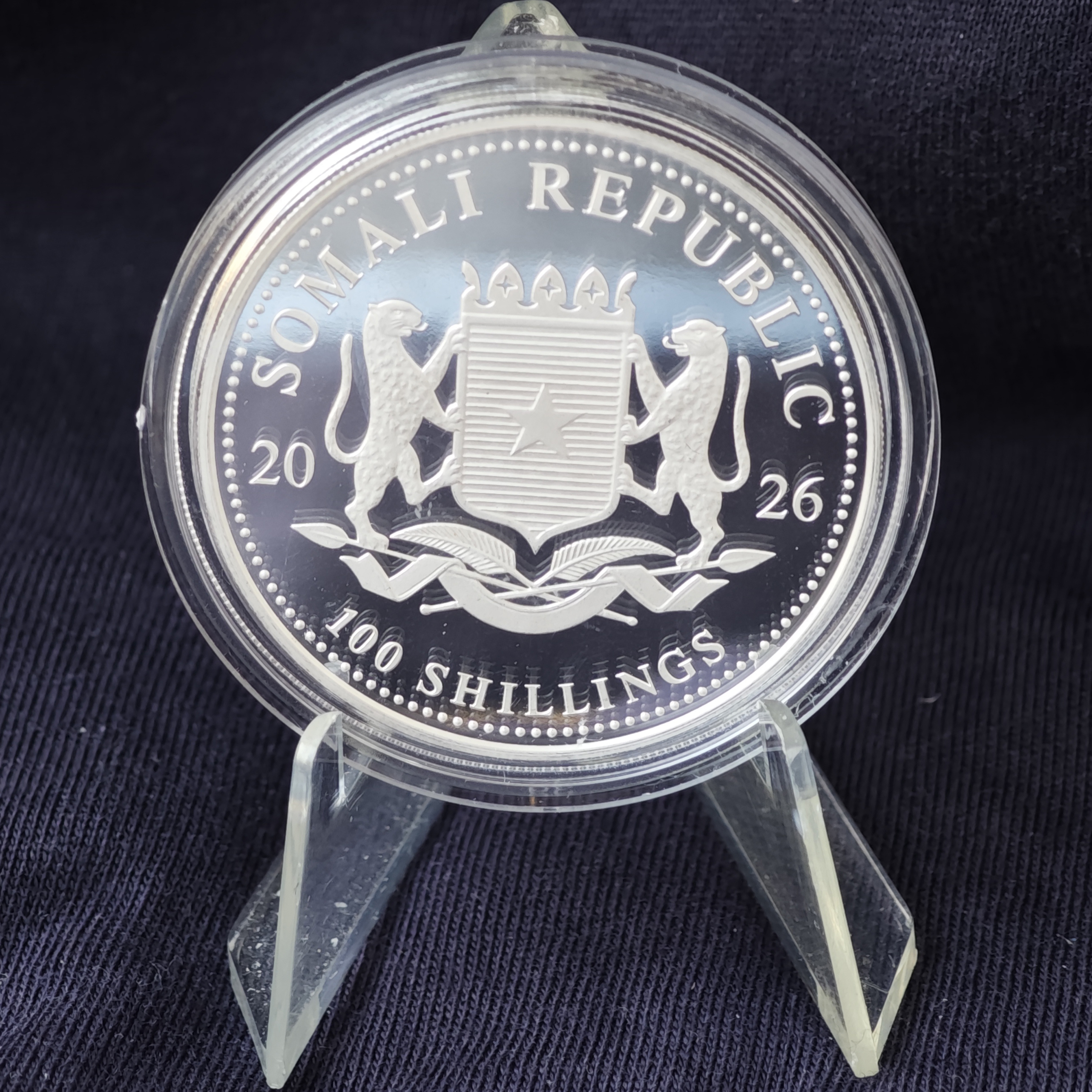 Сомали: Дикая природа Африки – Слон 2026