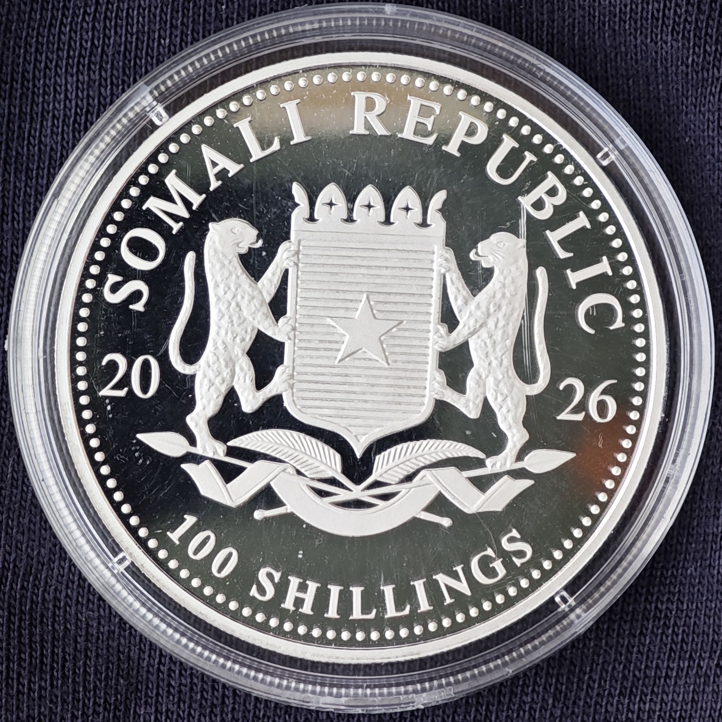 Сомали: Дикая природа Африки – Слон 2026 (цветной)