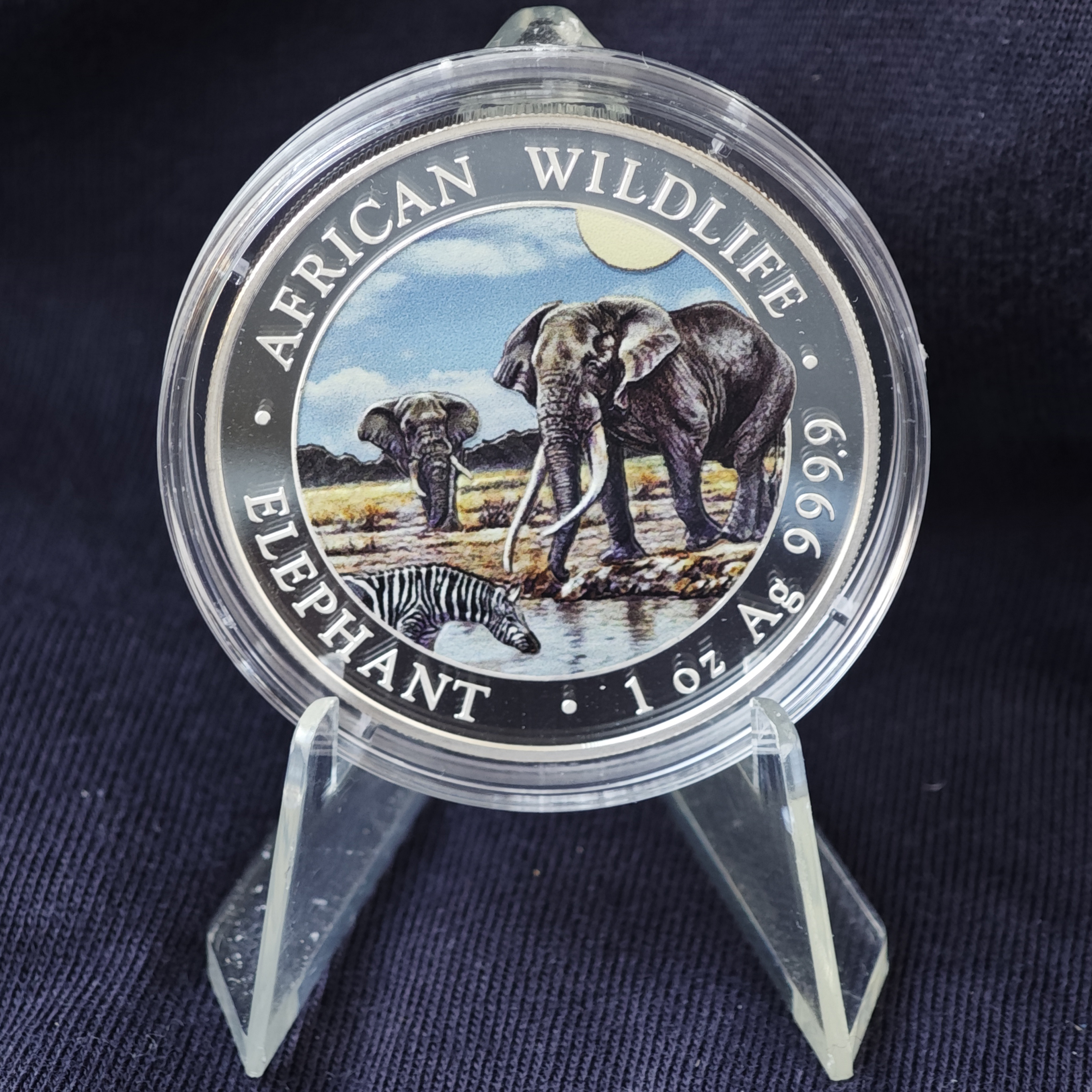 Сомали: Дикая природа Африки – Слон 2026 (цветной)