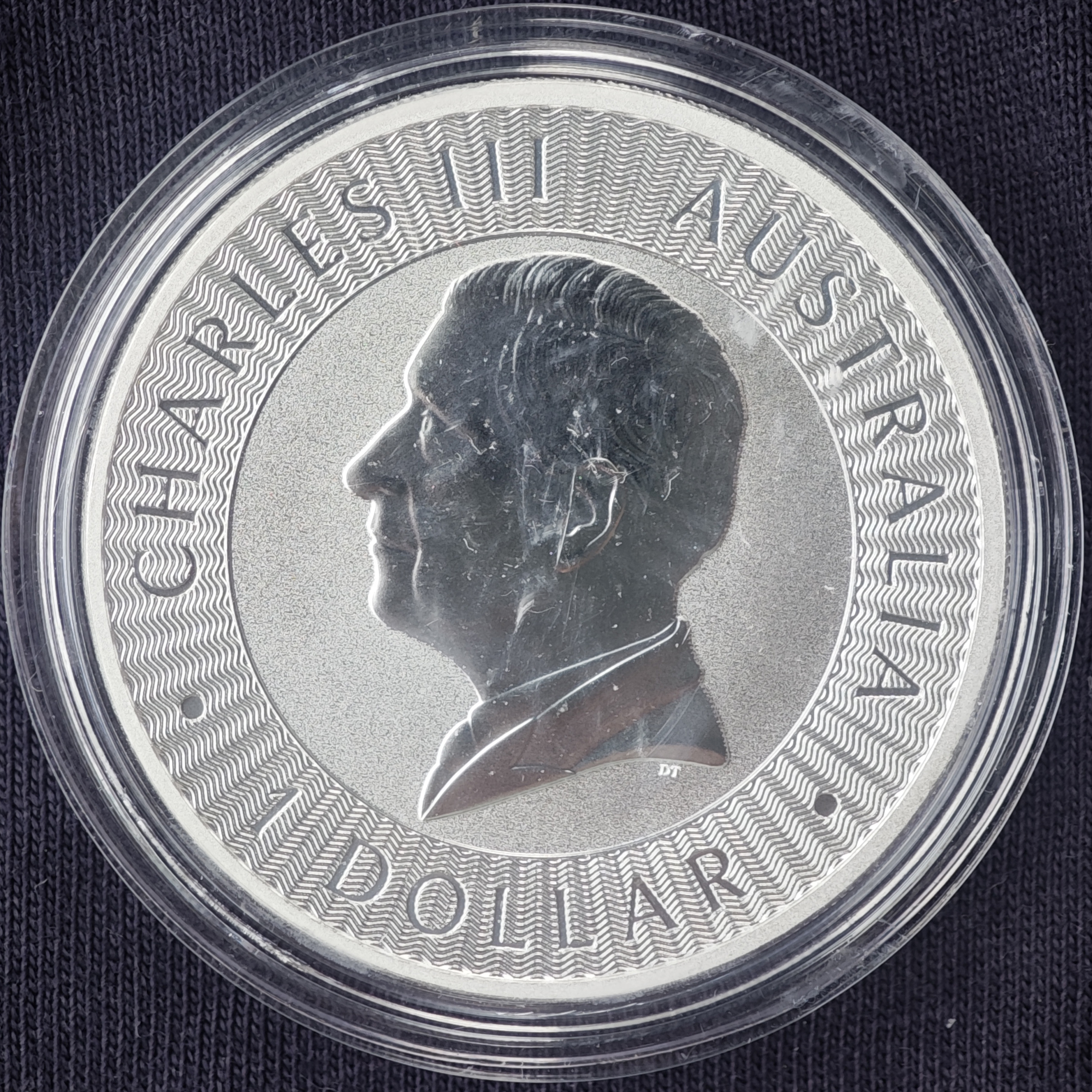 Австралийский кенгуру 2026