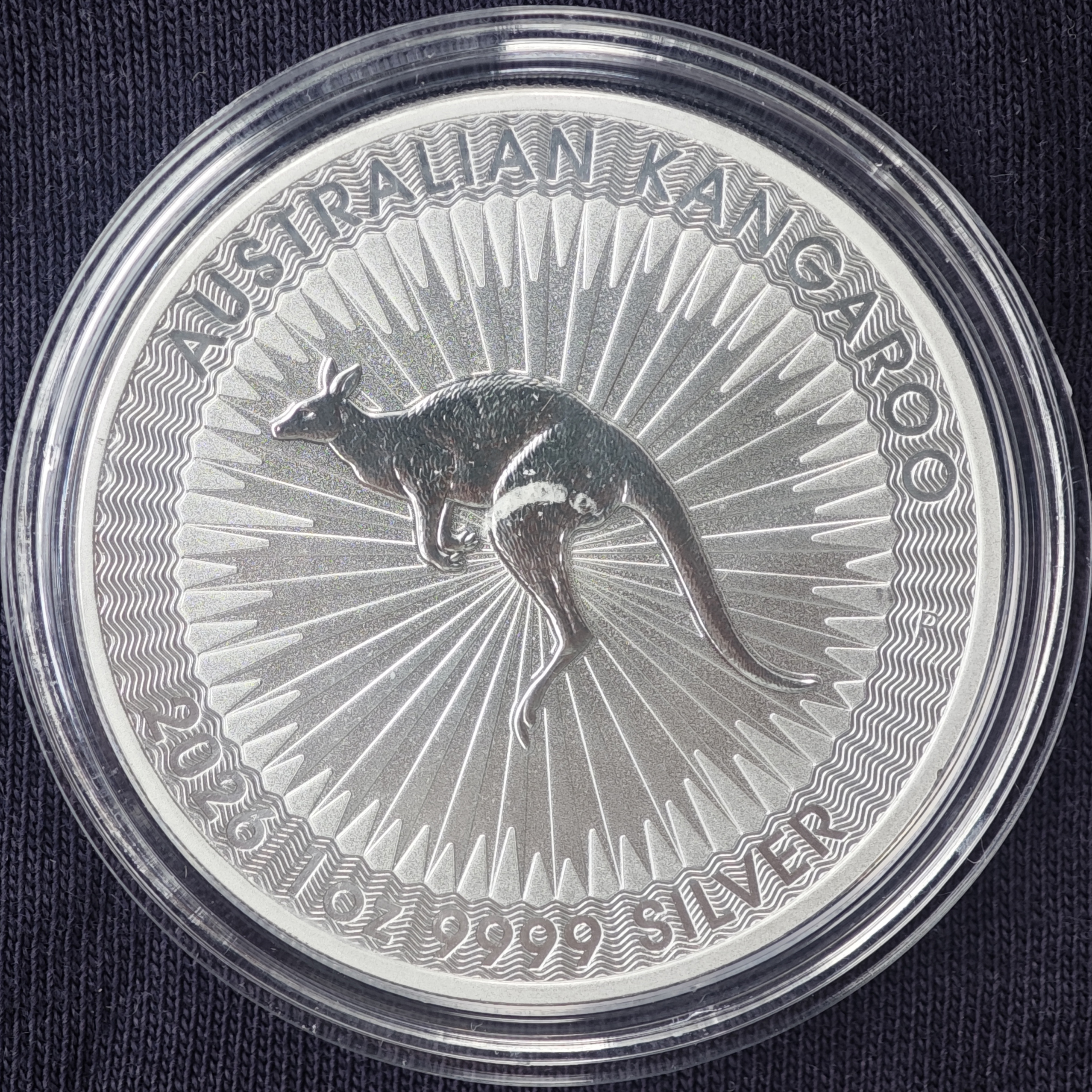 Австралийский кенгуру 2026