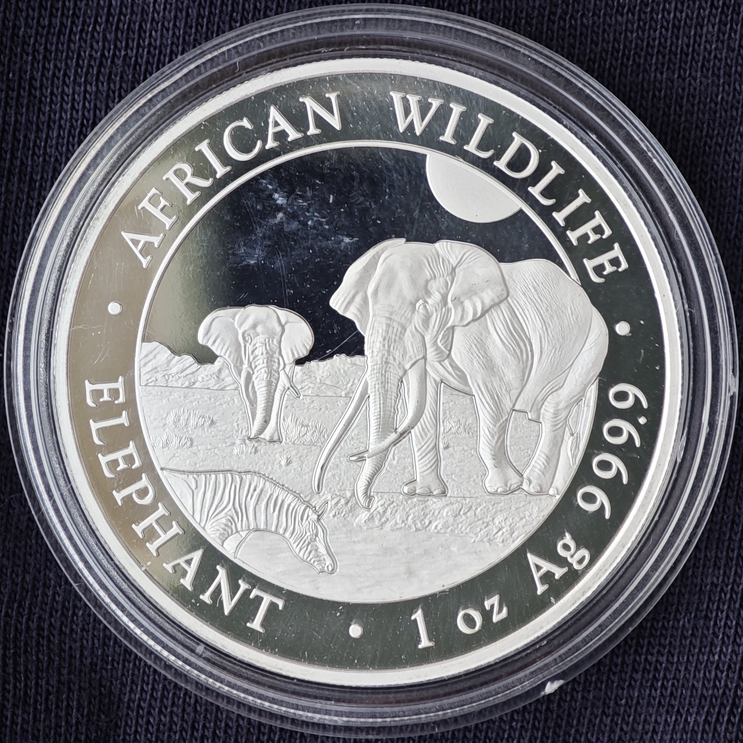 Сомали: Дикая природа Африки – Слон 2026