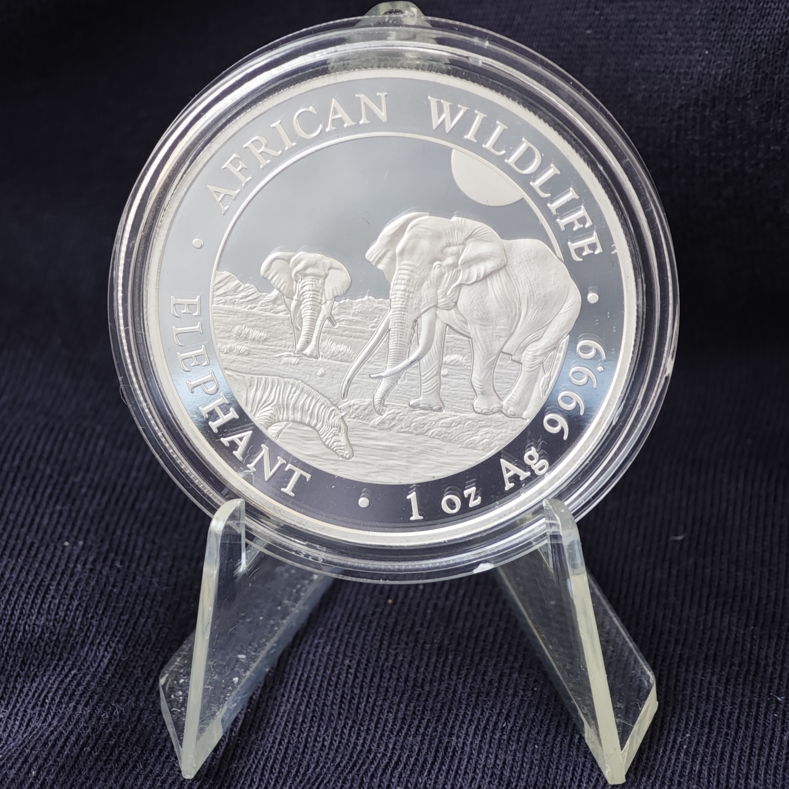 Сомали: Дикая природа Африки – Слон 2026