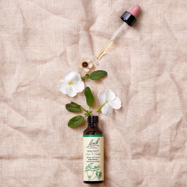 Follow-up di floriterapia