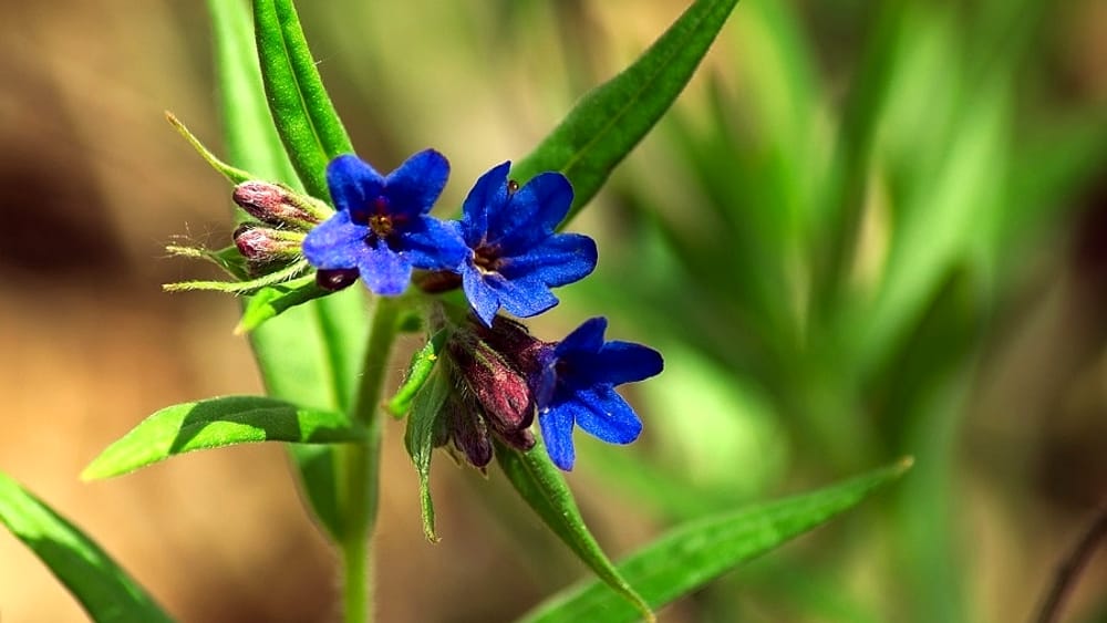 Pacchetto BENESSERE OLISTICO INTEGRATO 6 MESI - ALL YOU NEED