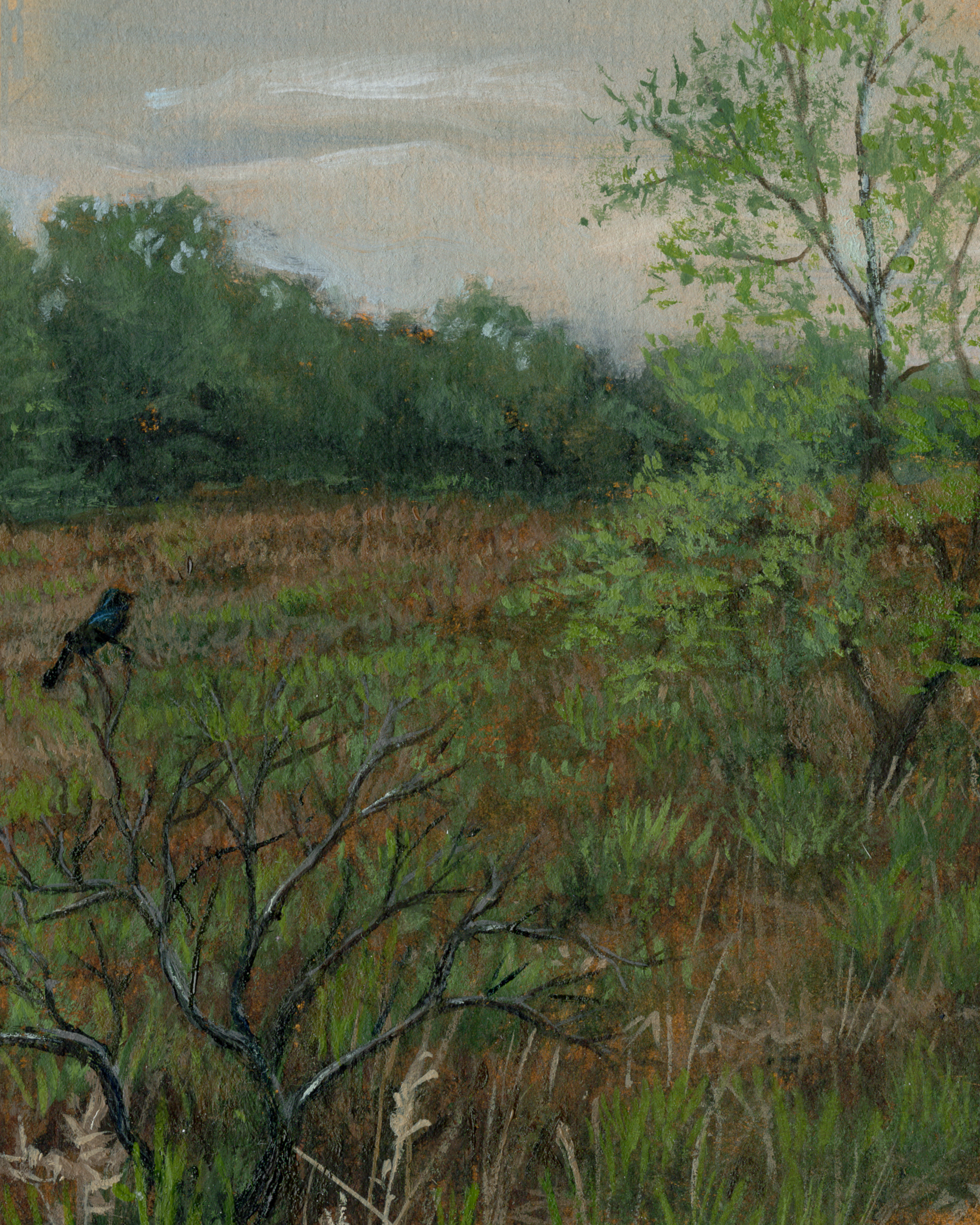 Sandy Meadow/Giclee Print