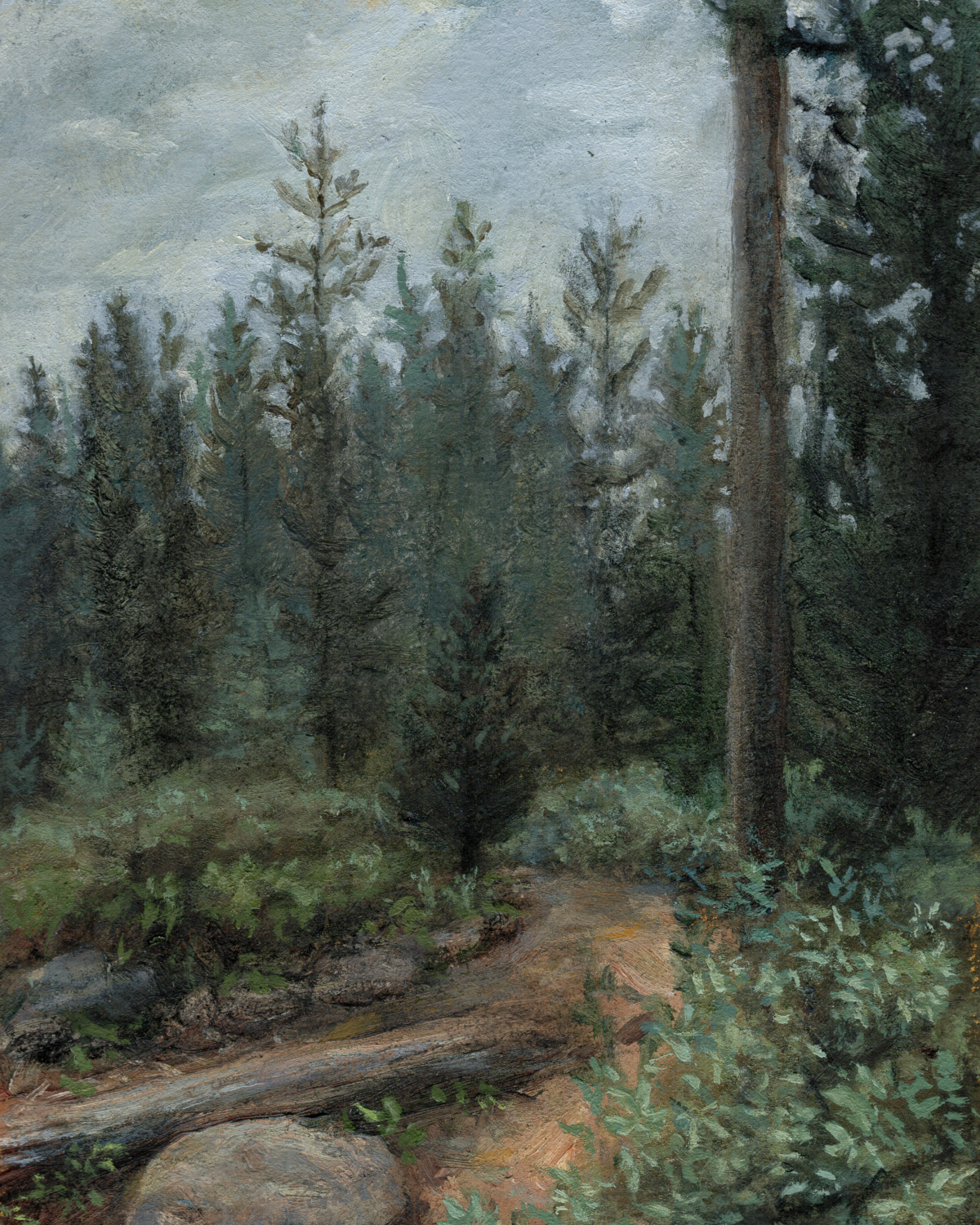 Yellowstone Path/Giclee Print
