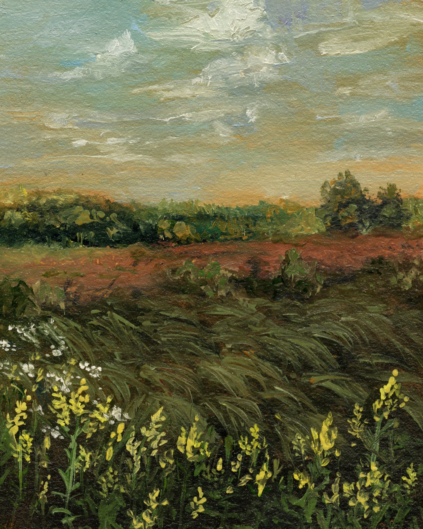 Sandy Field/Giclee Print