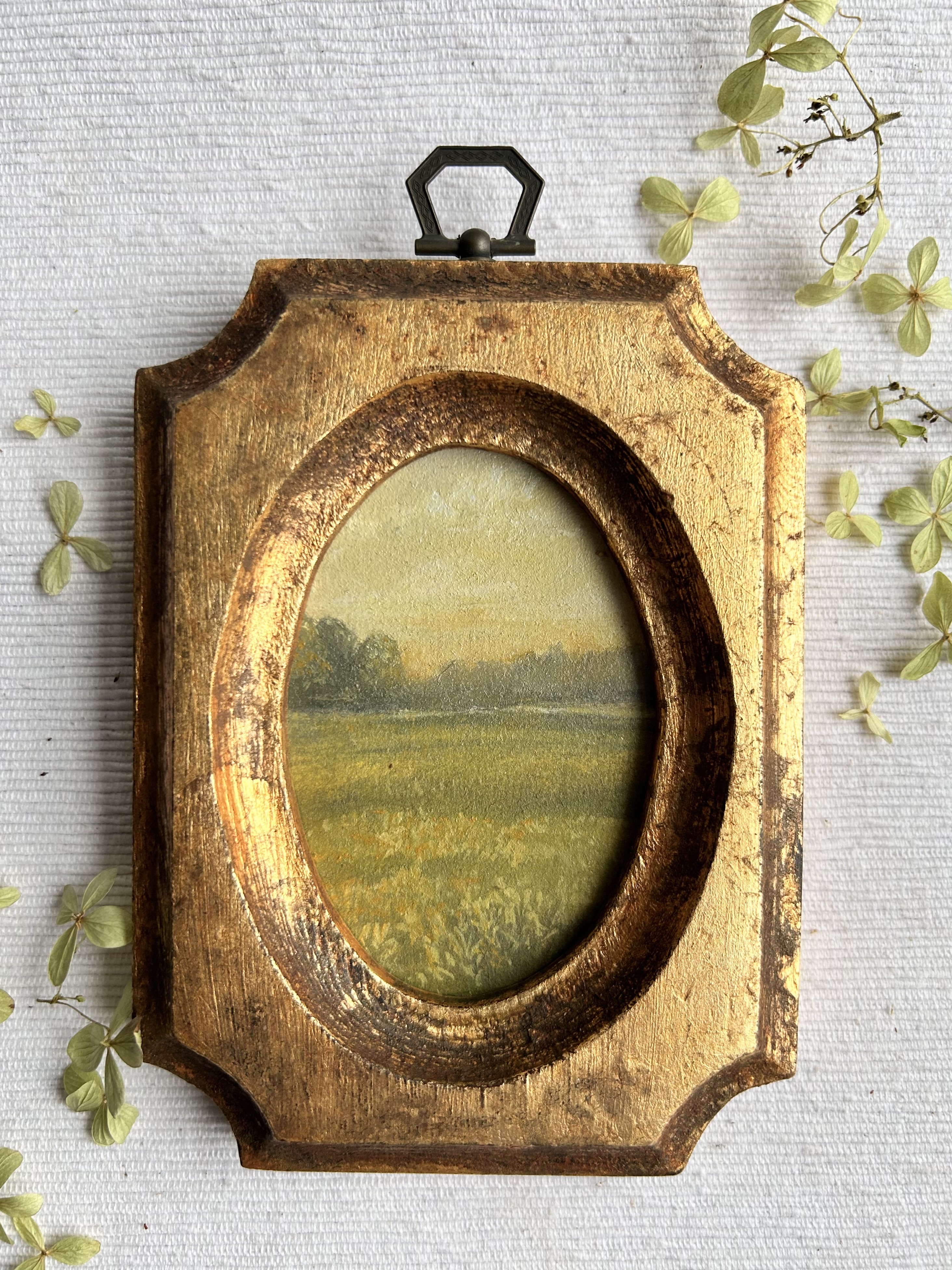 Gold Meadow 