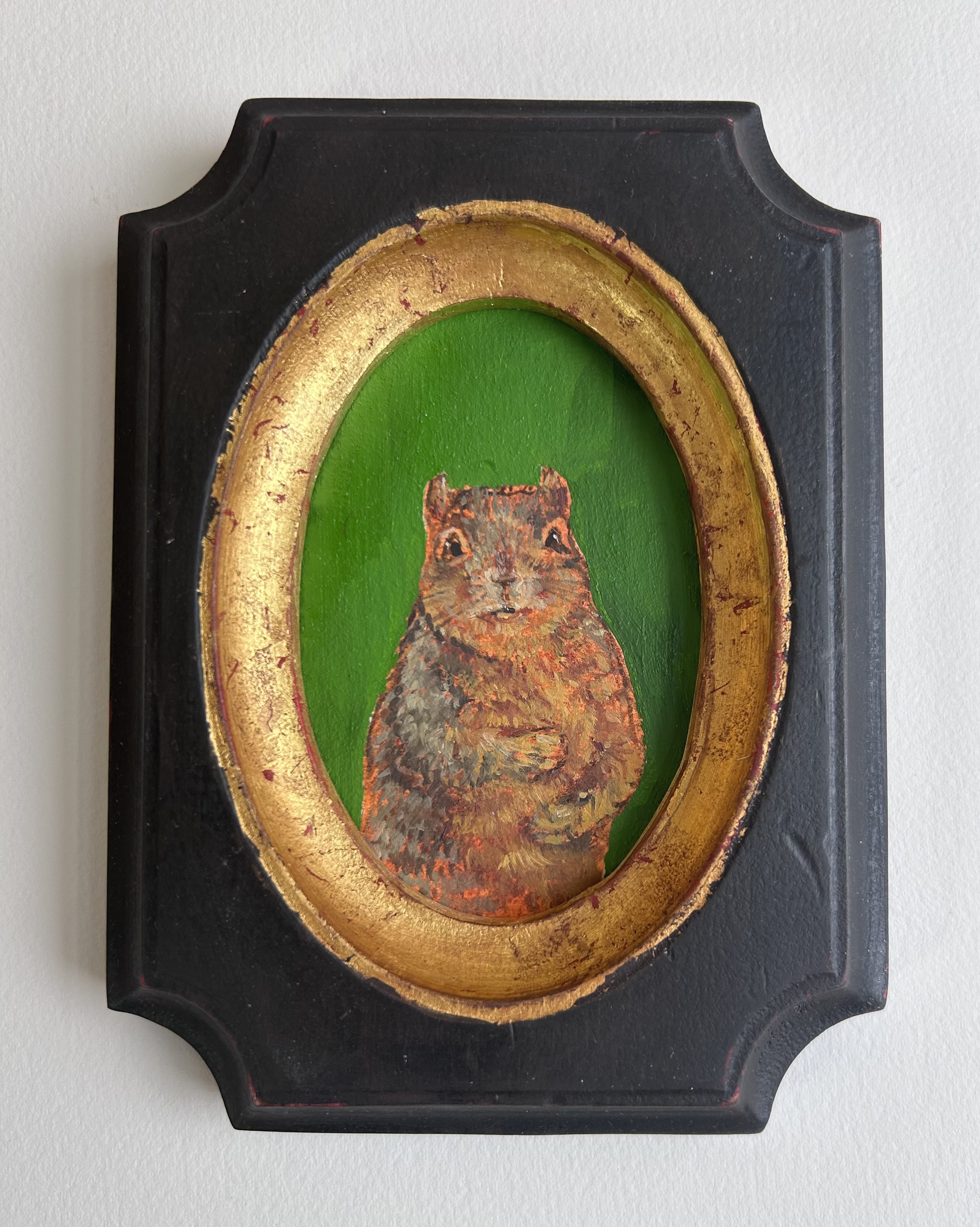Squirrel Portrait 