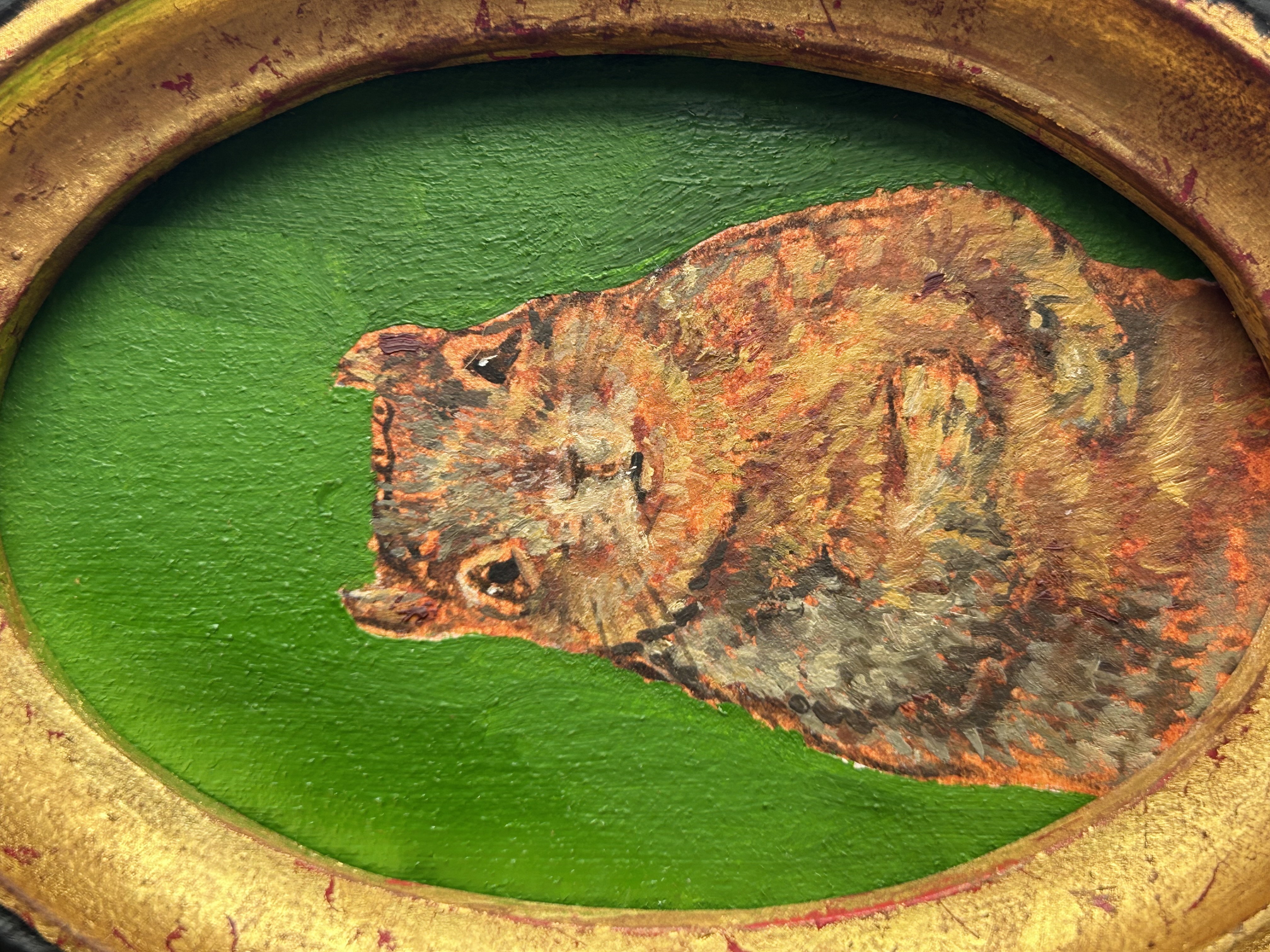 Squirrel Portrait 