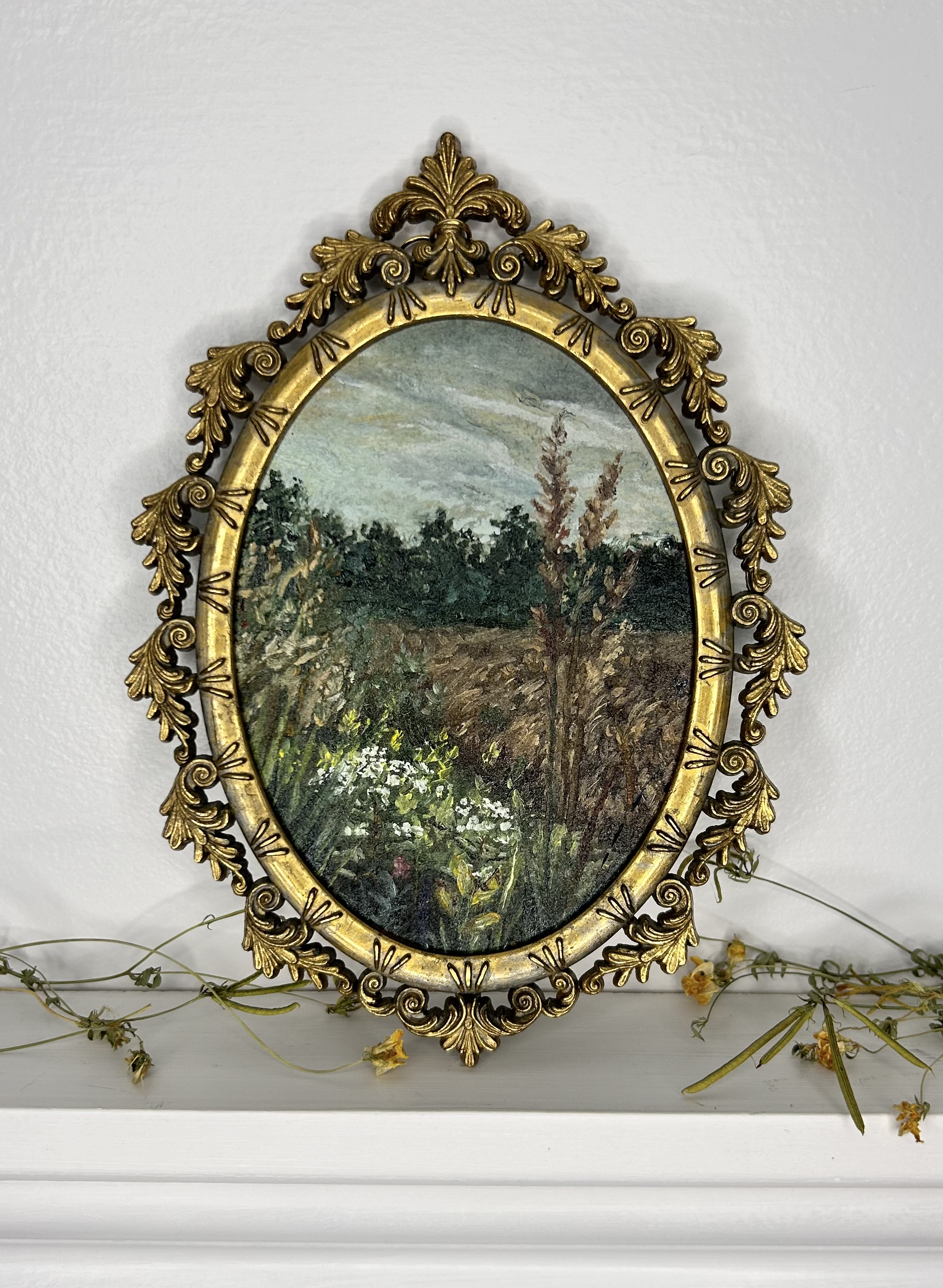 Grassy Meadow