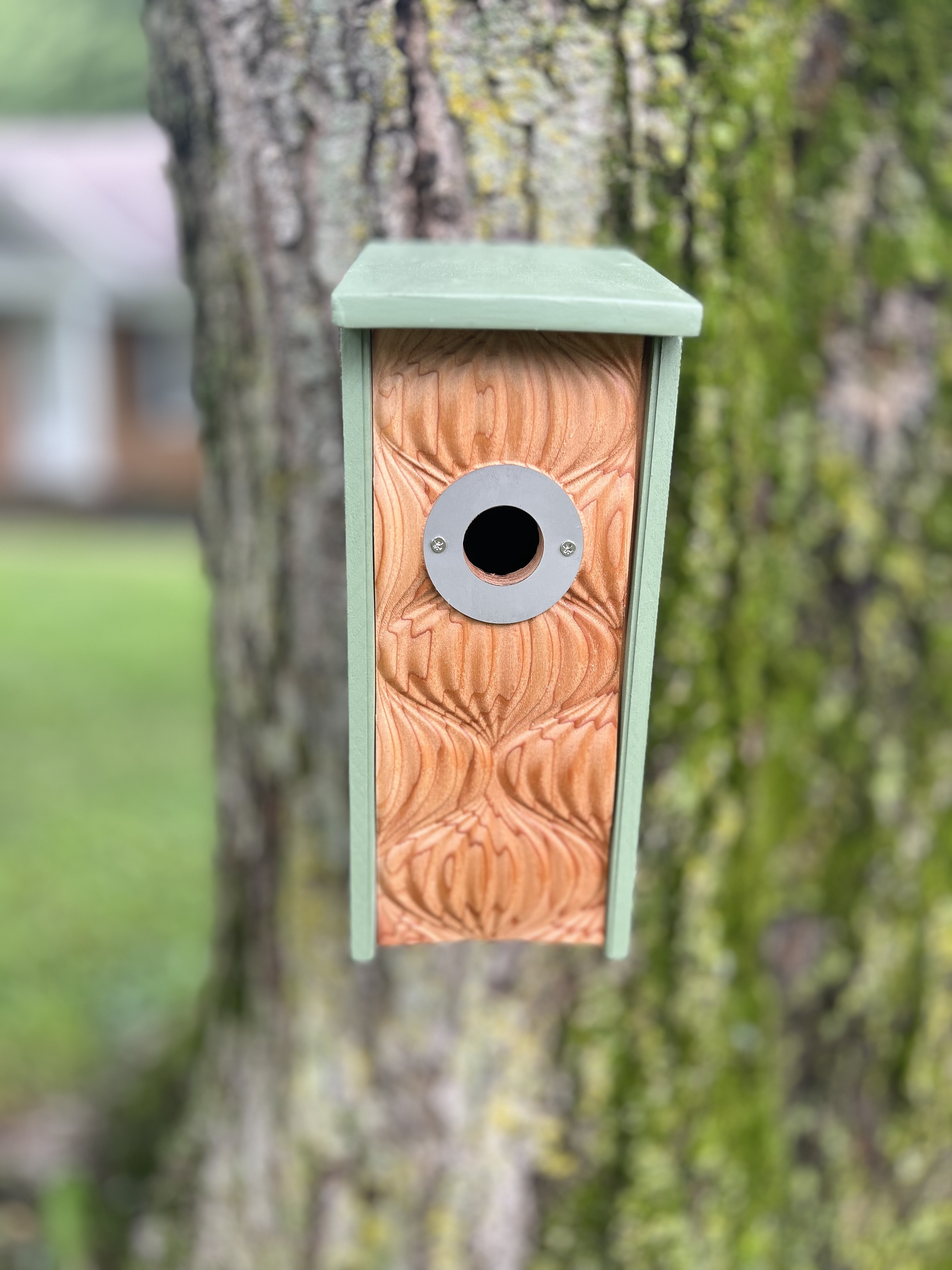 Tranquility Birdhouse For Wrens, Sparrows, Titmouse, and Downy Woodpeckers