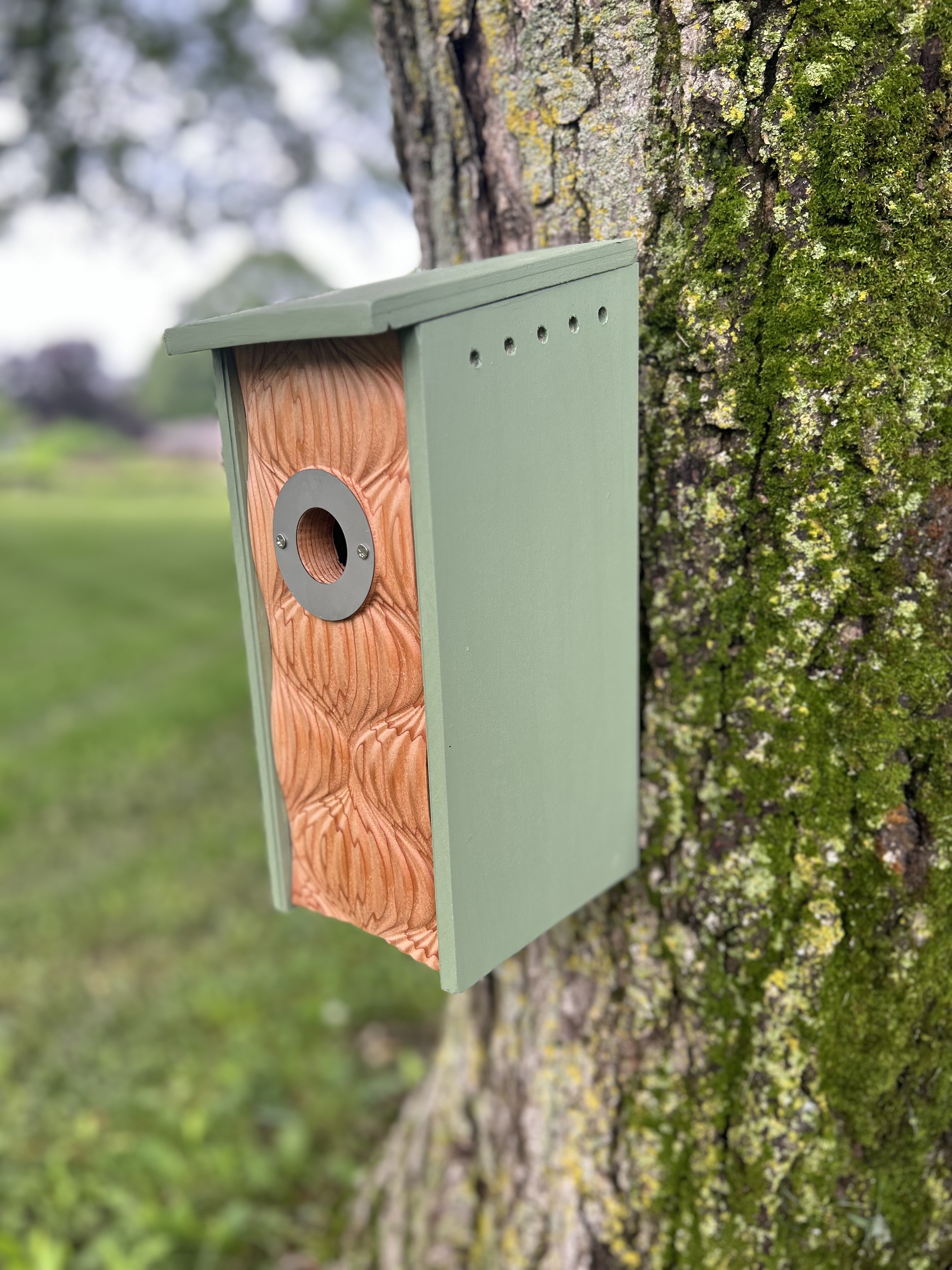 Tranquility Birdhouse For Wrens, Sparrows, Titmouse, and Downy Woodpeckers