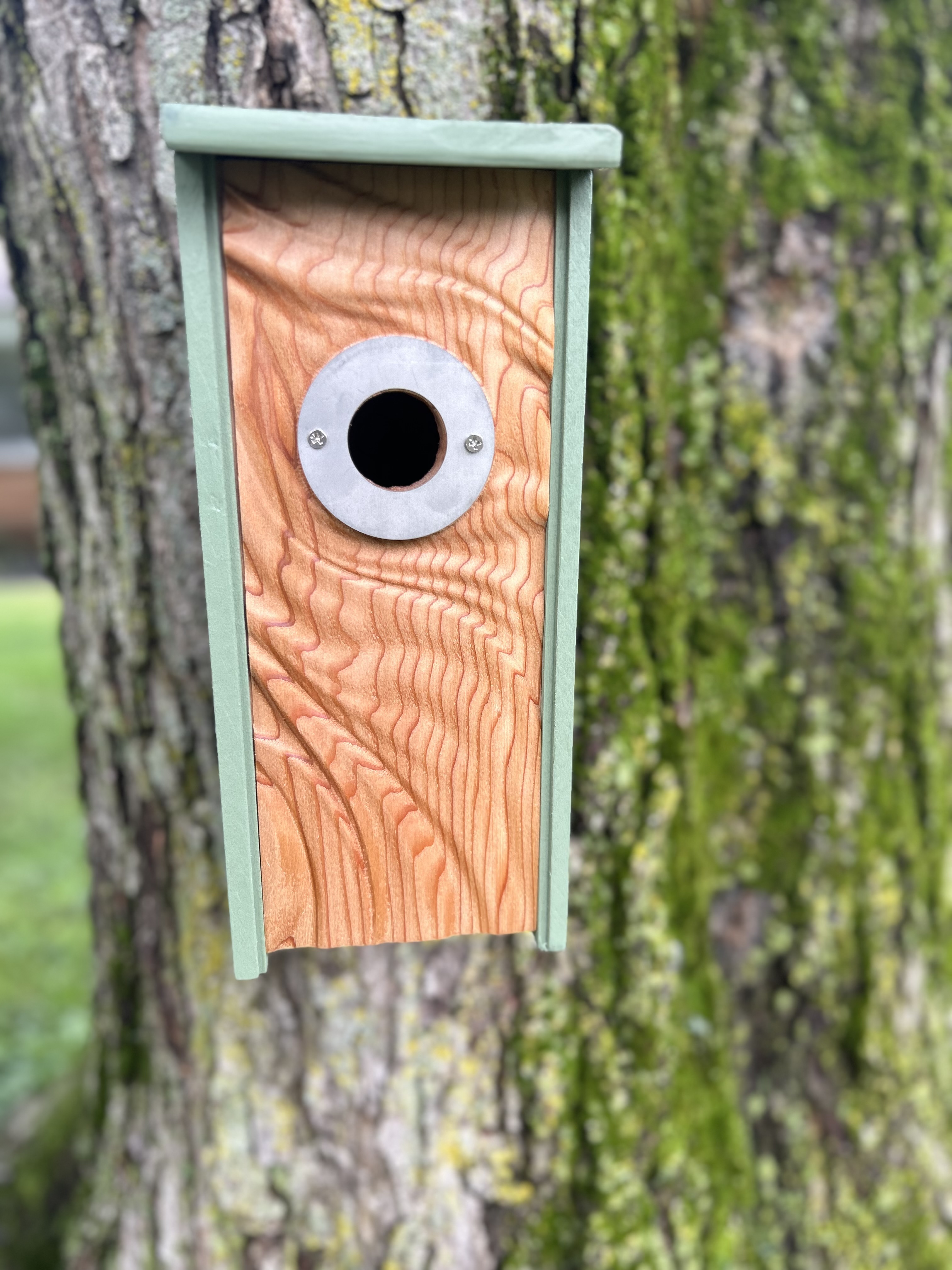 Ripples Birdhouse For Wrens, Sparrows, Titmouse, and Downy Woodpeckers