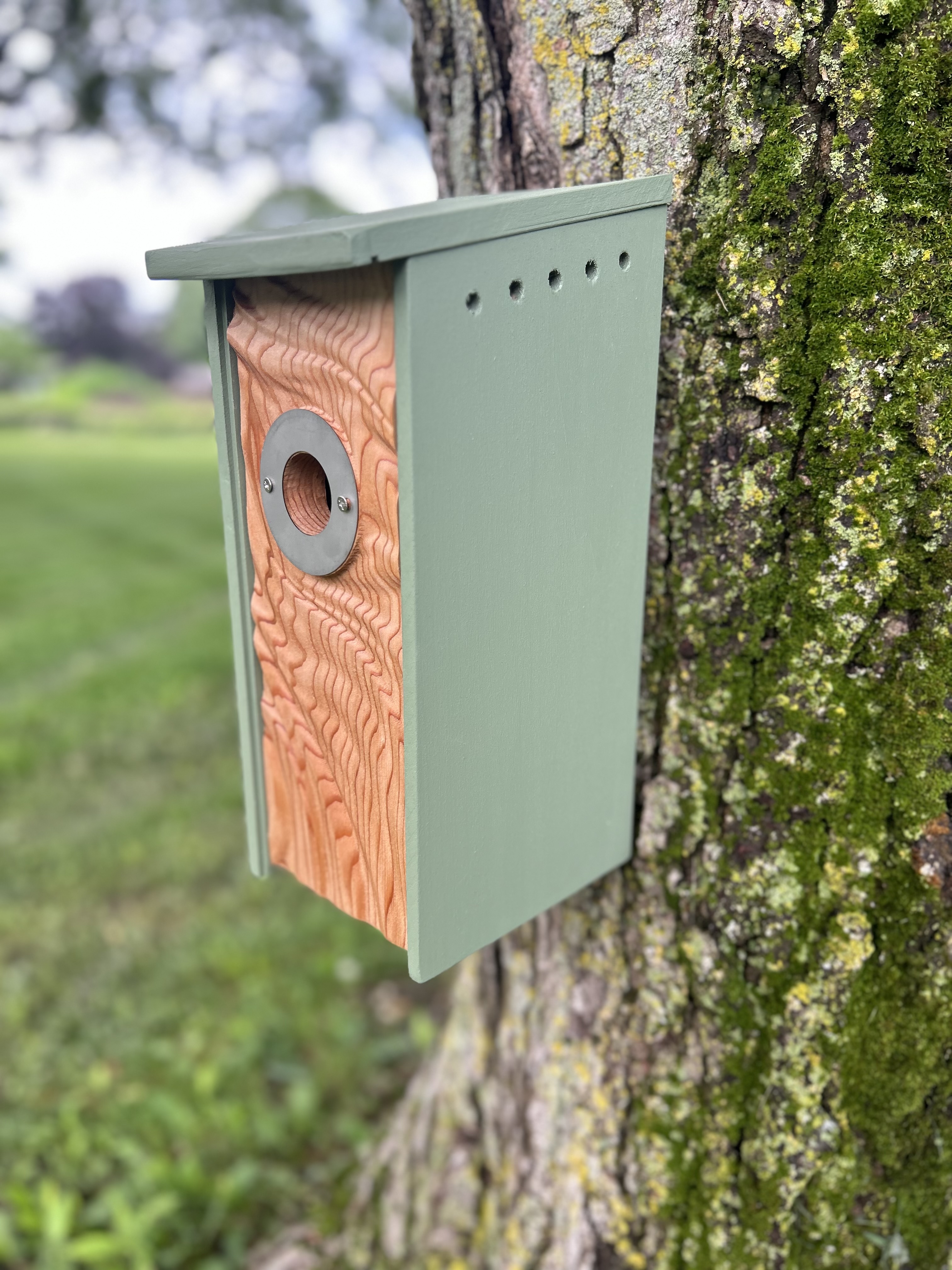 Ripples Birdhouse For Wrens, Sparrows, Titmouse, and Downy Woodpeckers