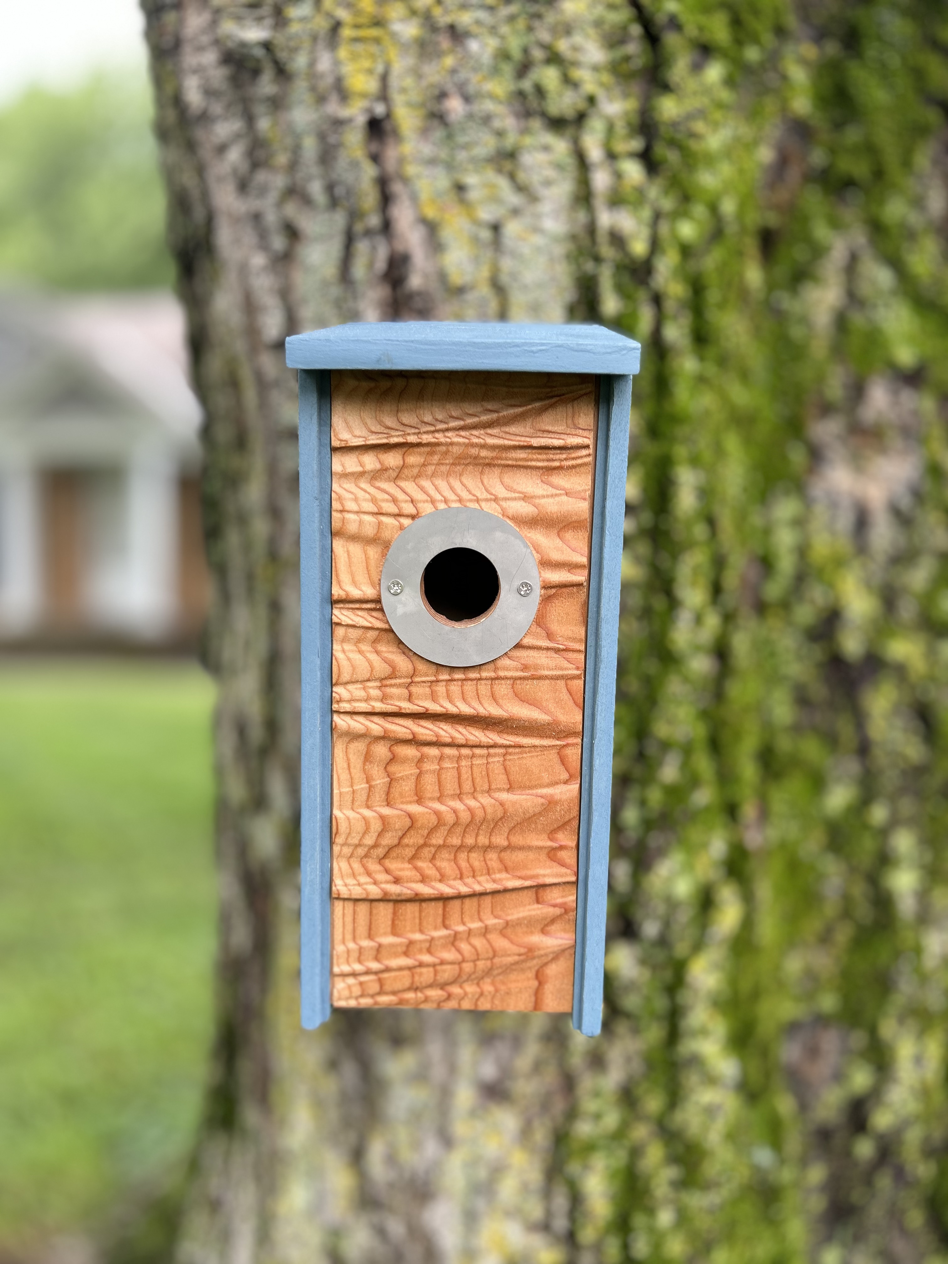 Side to Side Birdhouse For Wrens, Sparrows, Titmouse, and Downy Woodpeckers