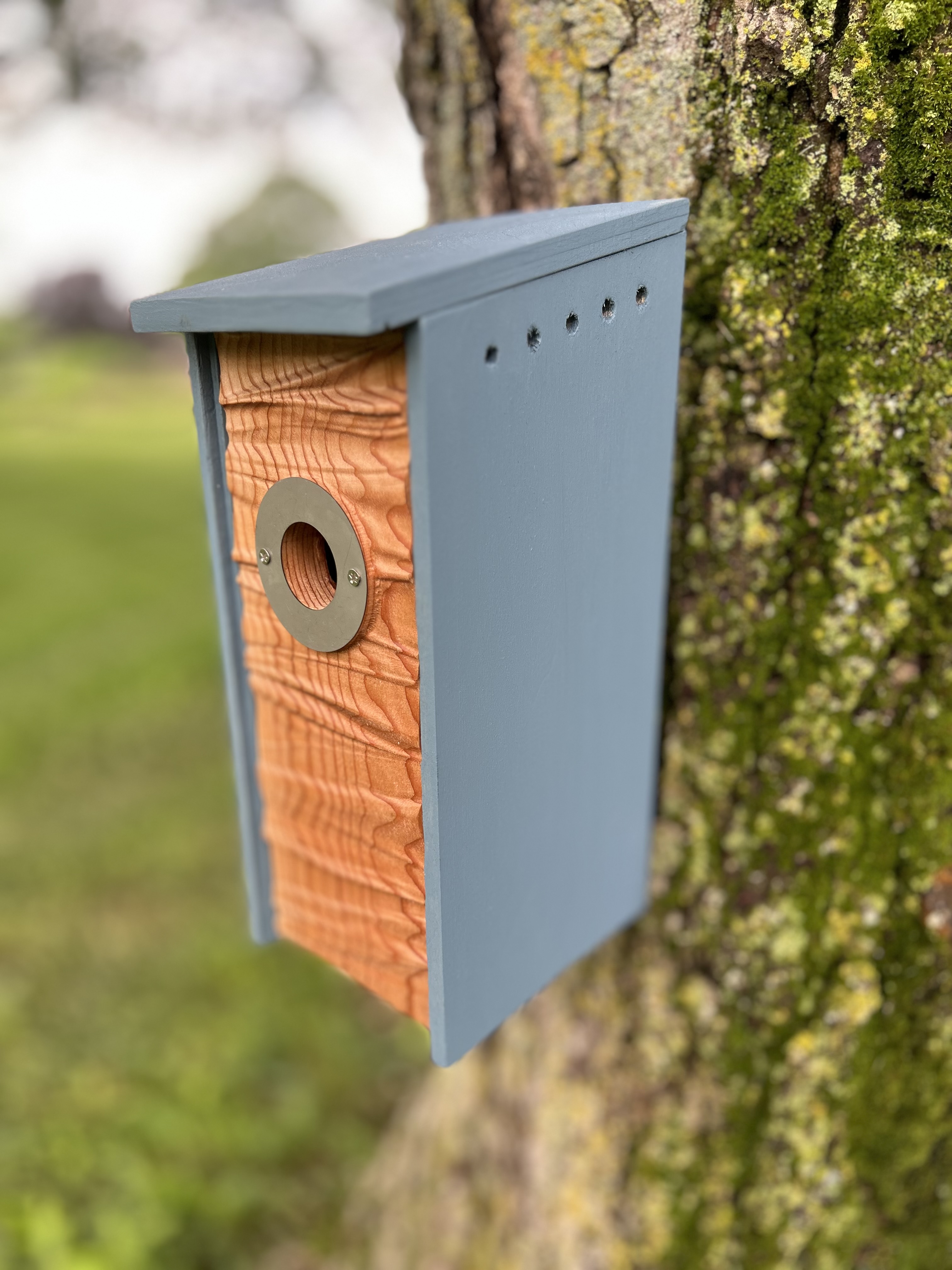 Side to Side Birdhouse For Wrens, Sparrows, Titmouse, and Downy Woodpeckers