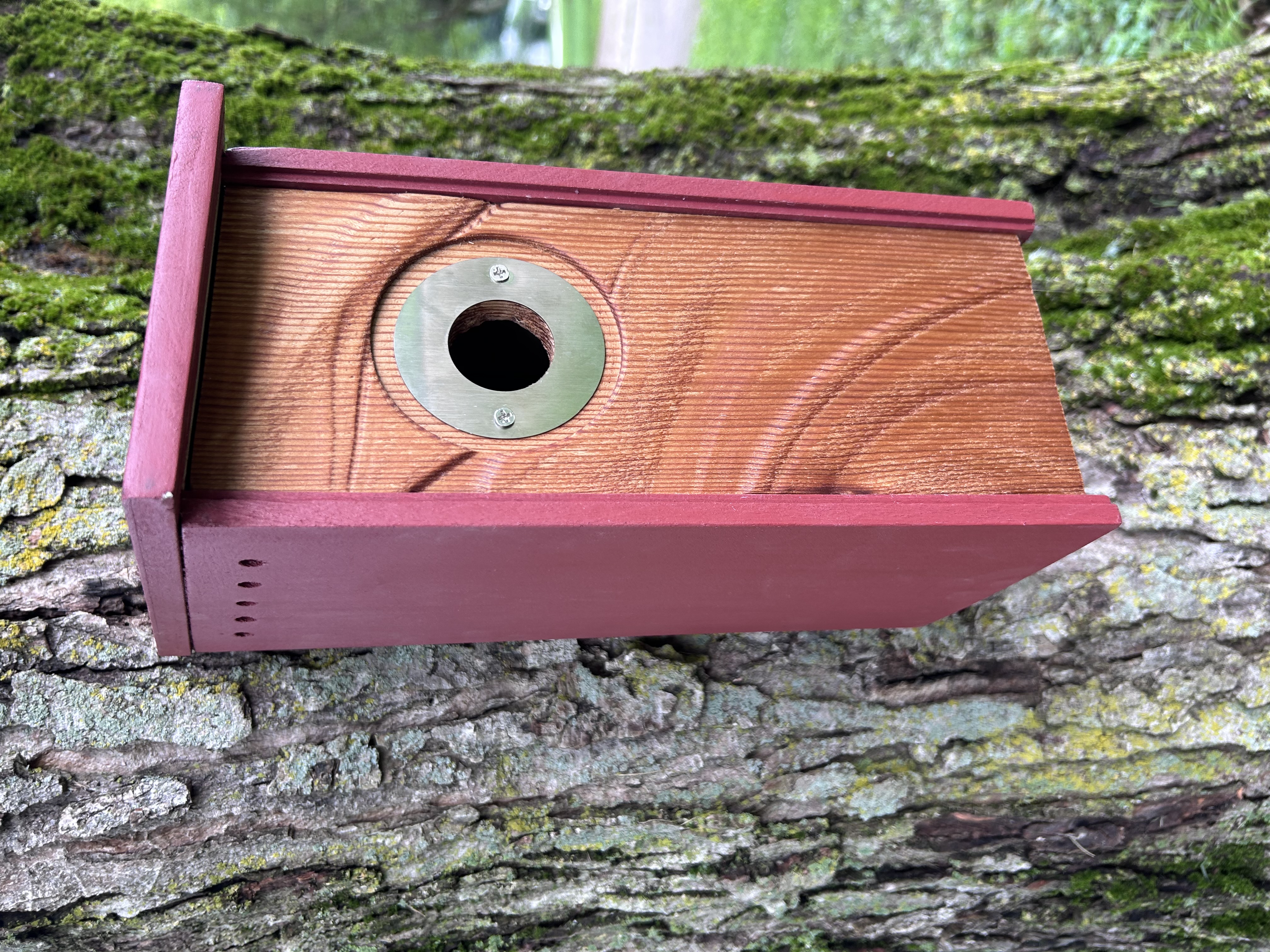 Red Ripples Birdhouse For Wrens, Sparrows, Titmouse, and Downy Woodpeckers