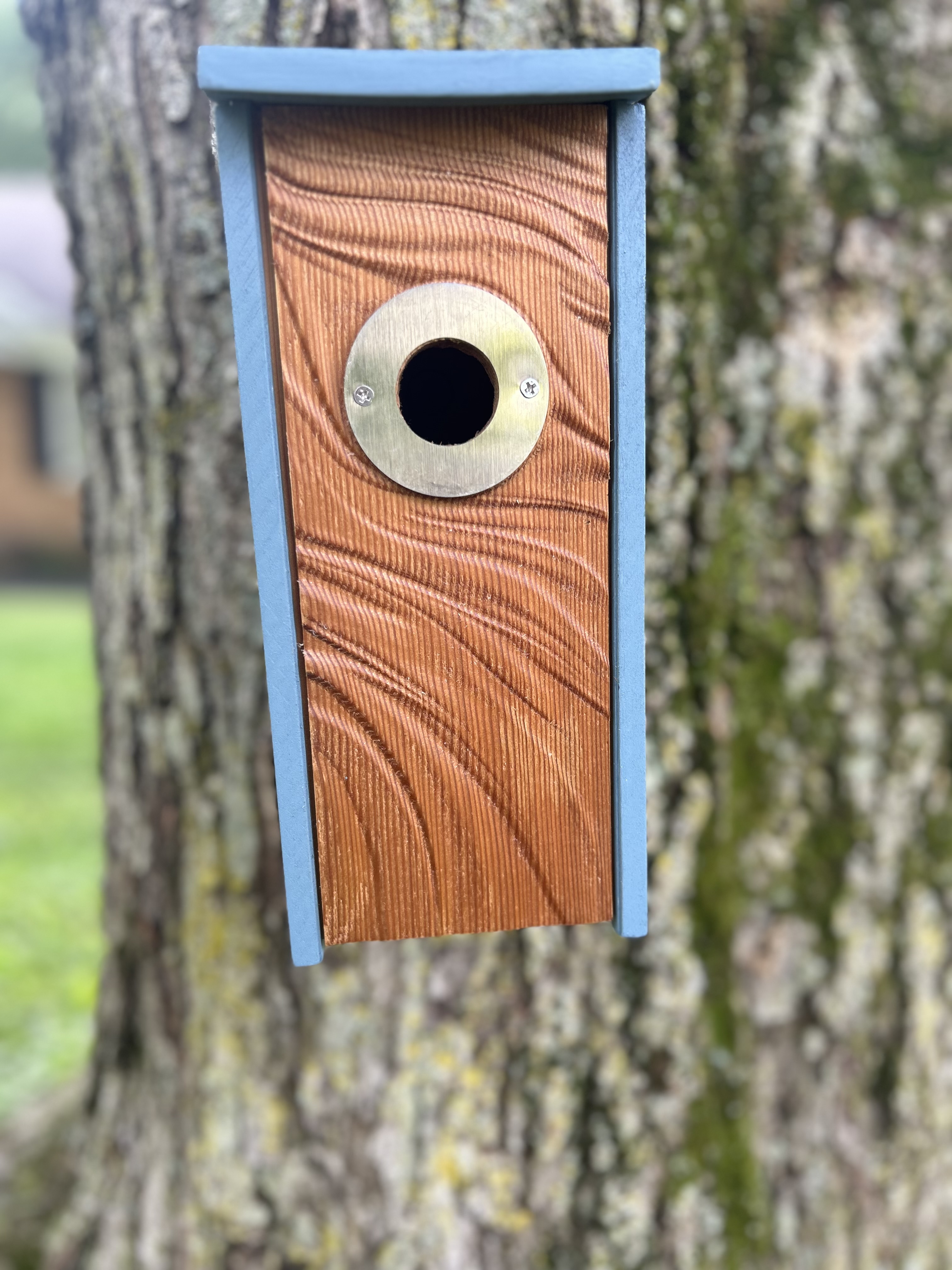 Ripples Birdhouse For Wrens, Sparrows, Titmouse, and Downy Woodpeckers