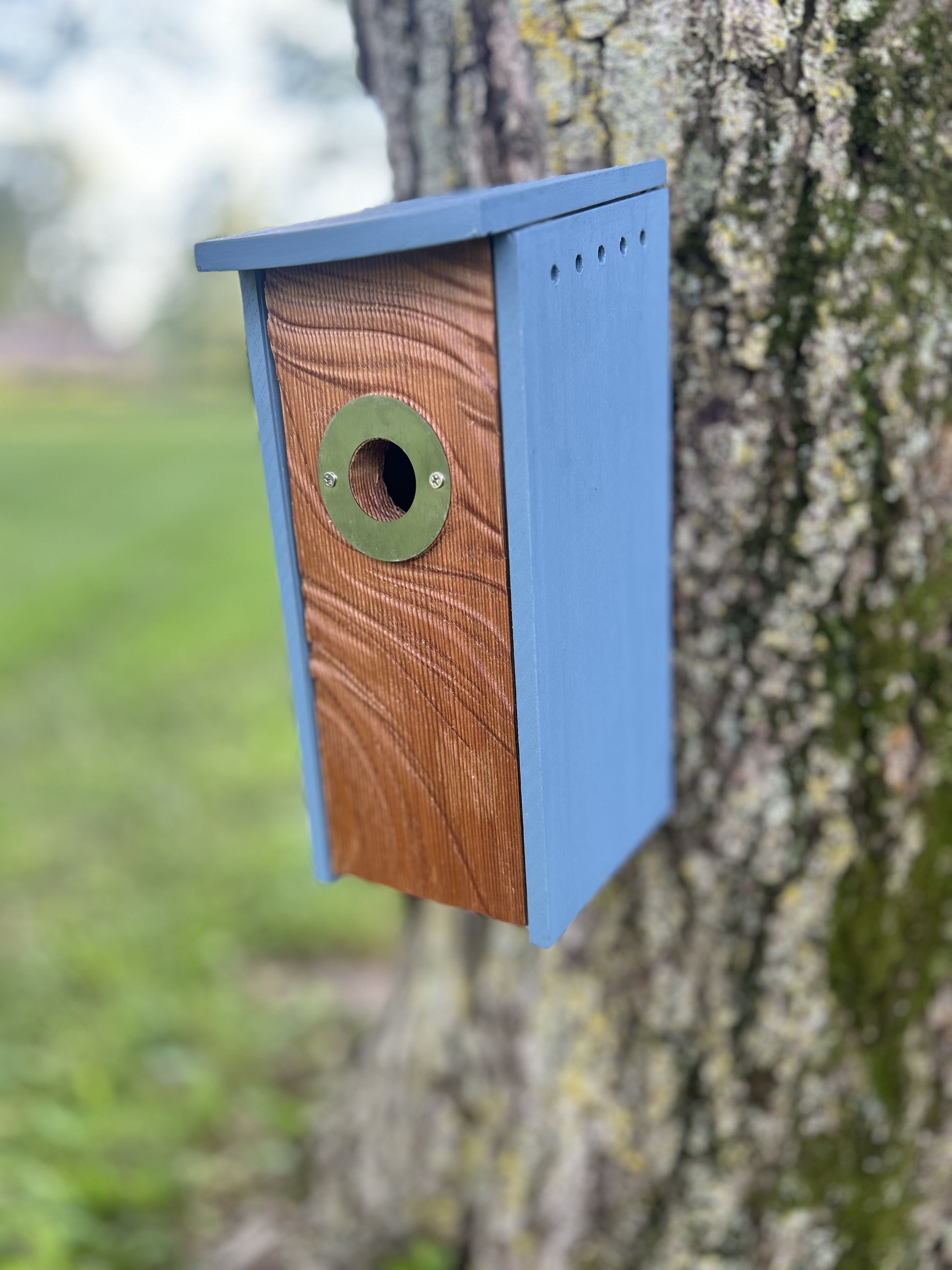 Ripples Birdhouse For Wrens, Sparrows, Titmouse, and Downy Woodpeckers