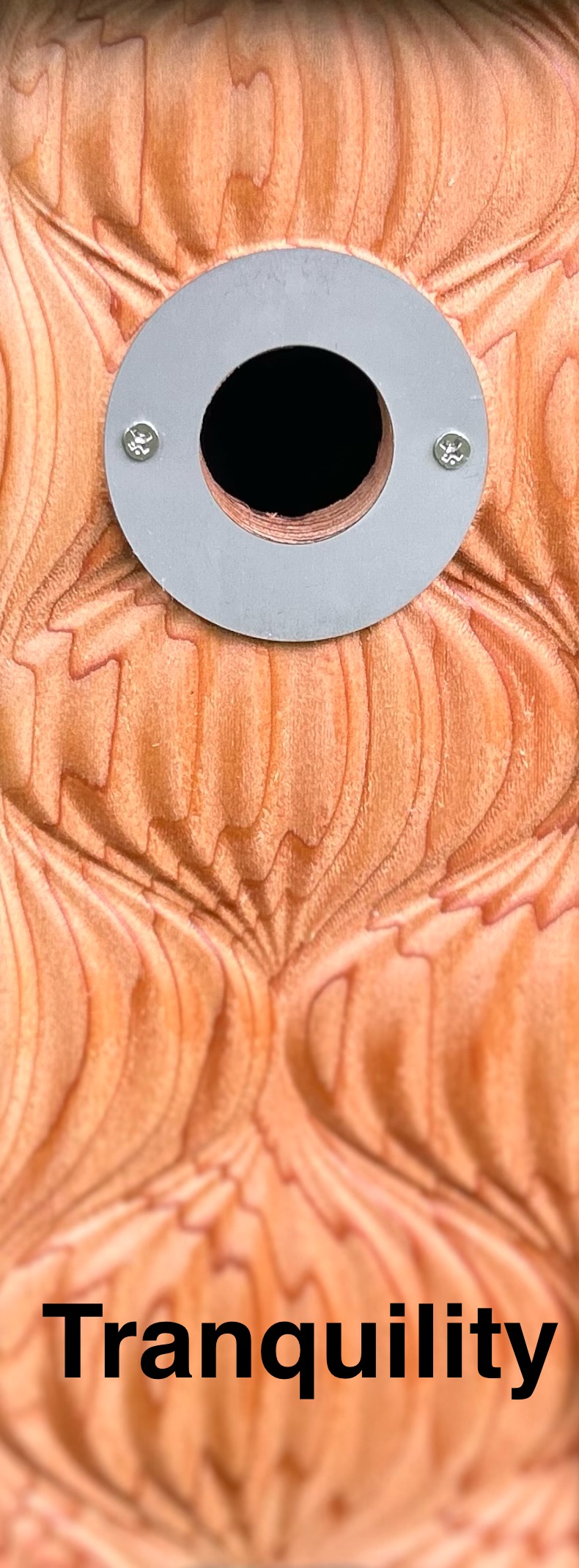 Custom Birdhouse Wrens, Sparrows, Downy Woodpeckers, and Titmouse