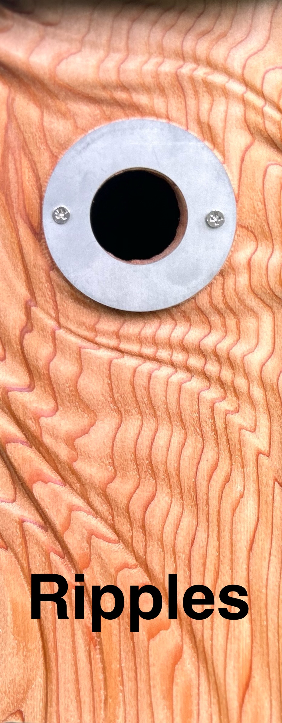 Custom Birdhouse Wrens, Sparrows, Downy Woodpeckers, and Titmouse