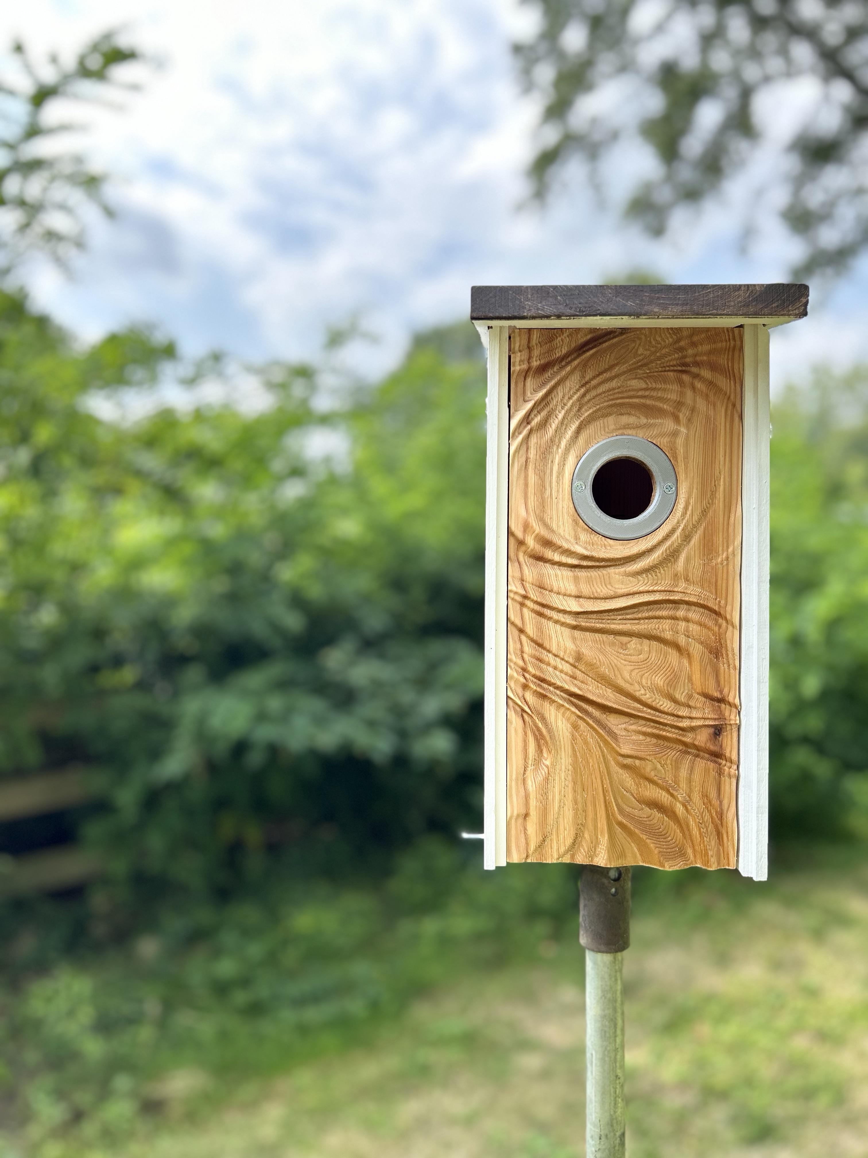 Custom houses for Bluebirds 