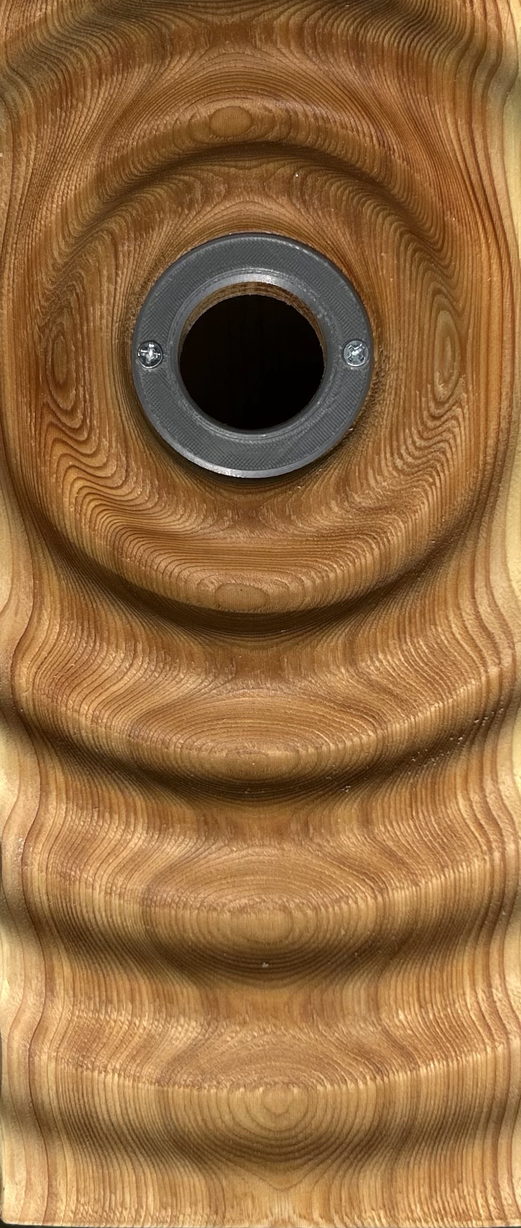 Blue Bird house/Drip