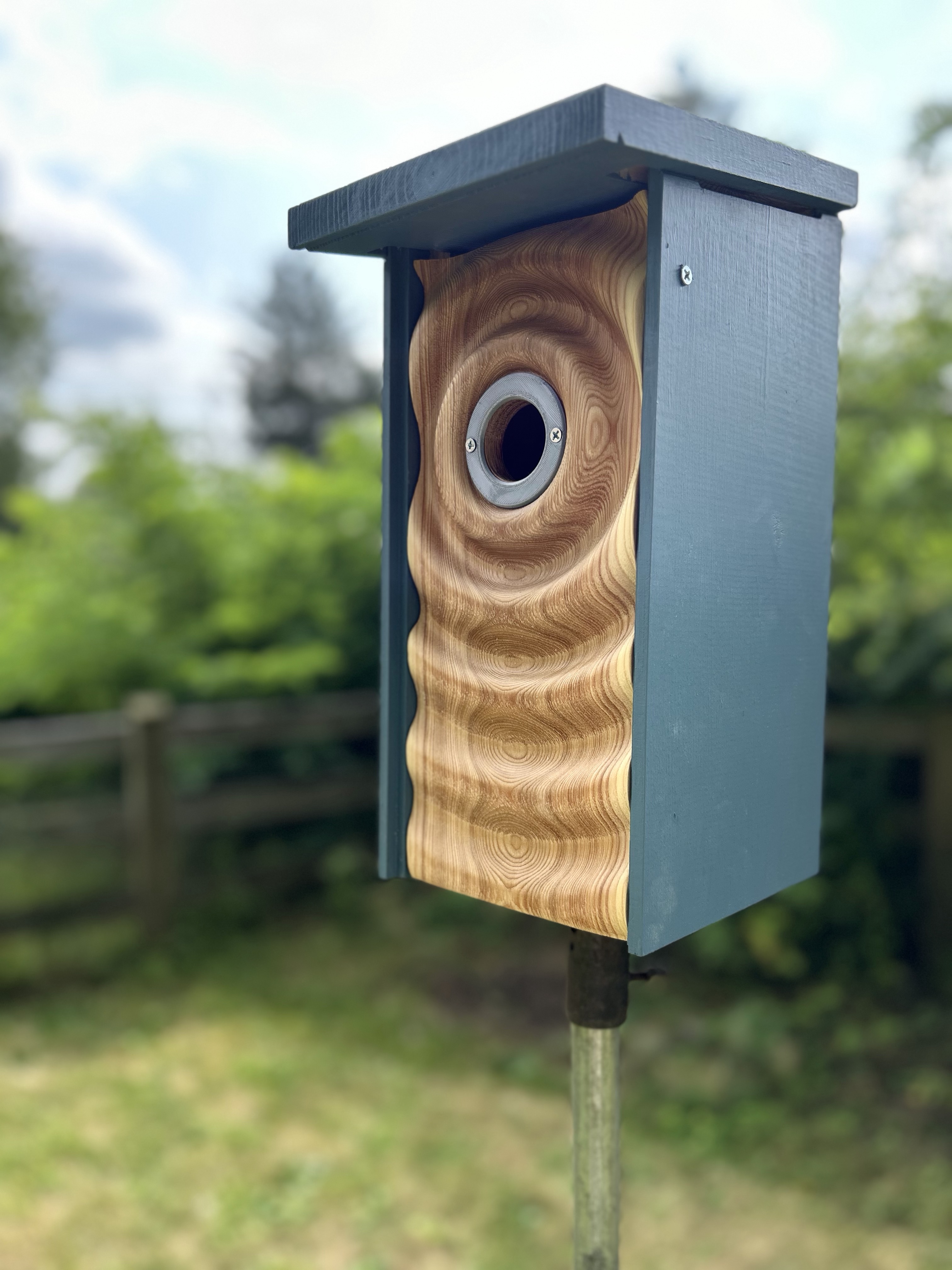 Blue Bird house/Drip