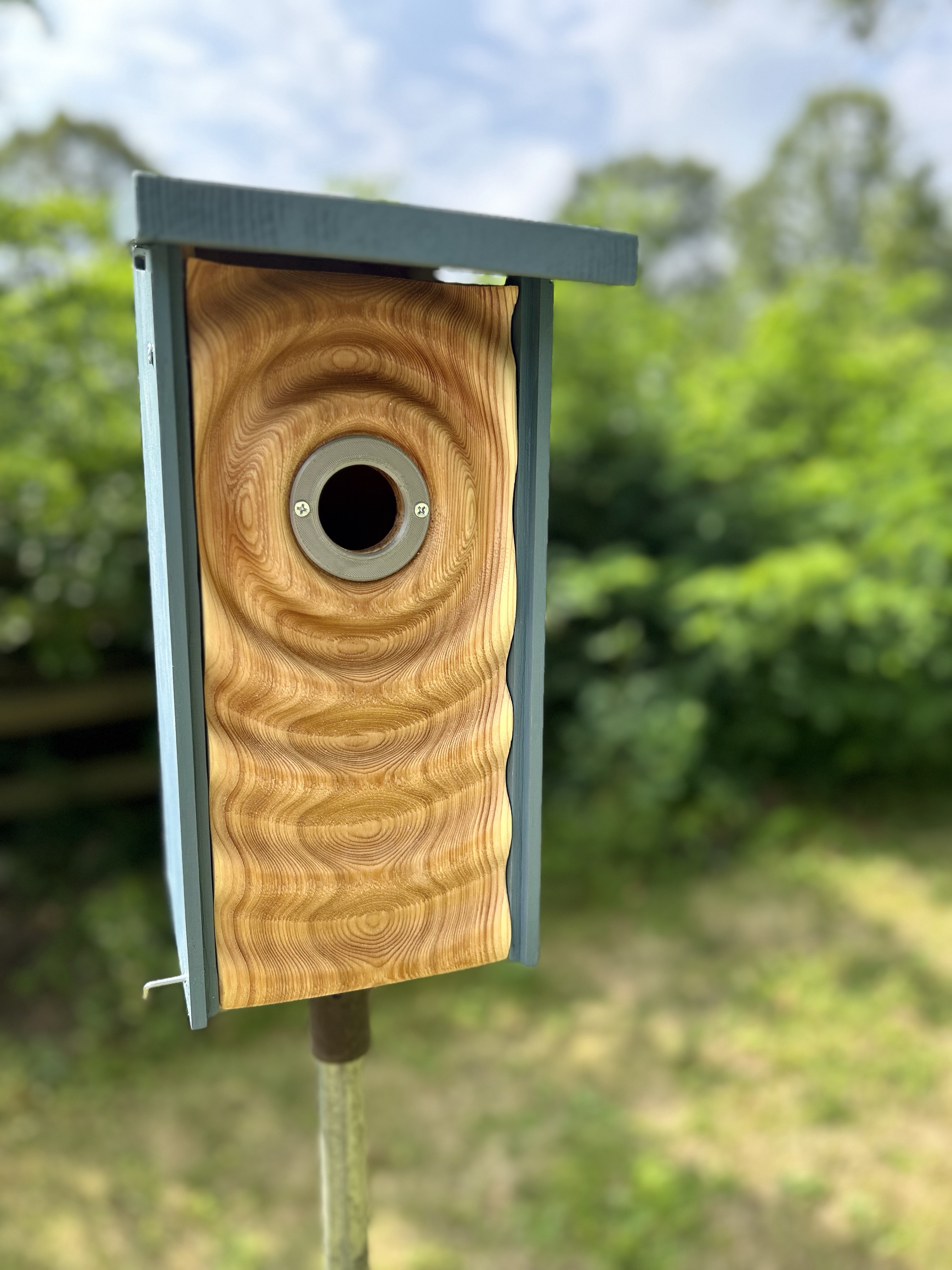 Blue Bird house/Drip