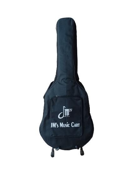Guitar Plane Bag