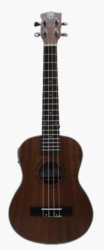 Techno Ukulele TM-226PE TH