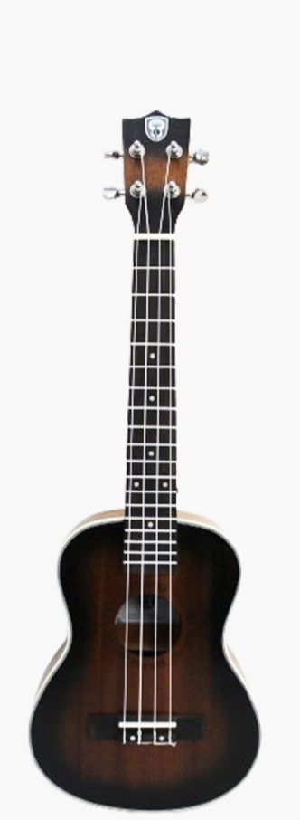 Techno Ukulele TM-226PE SUNBURST