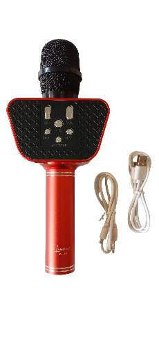 Wireless Microphone with Speaker