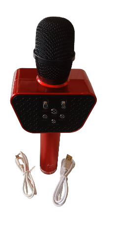Wireless Microphone with Speaker