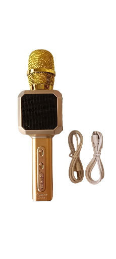 Wireless karaoke Microphone with Speaker