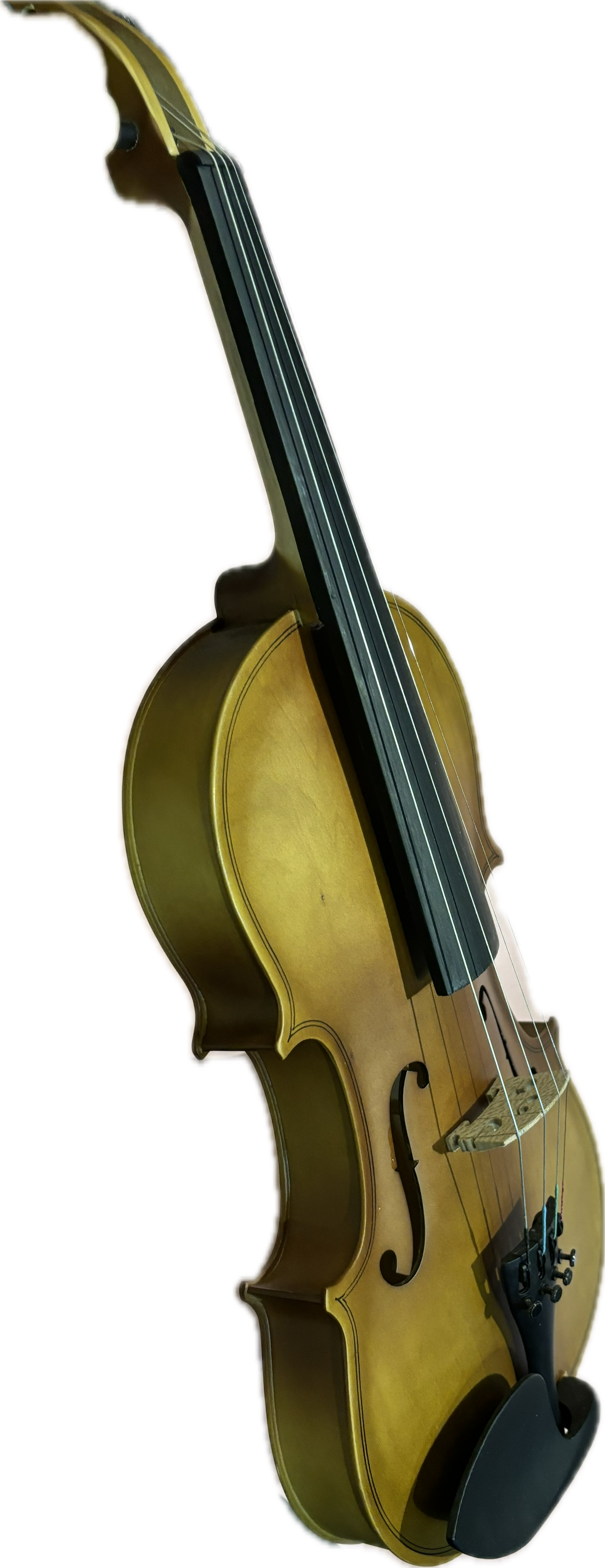 Acoustic Violin