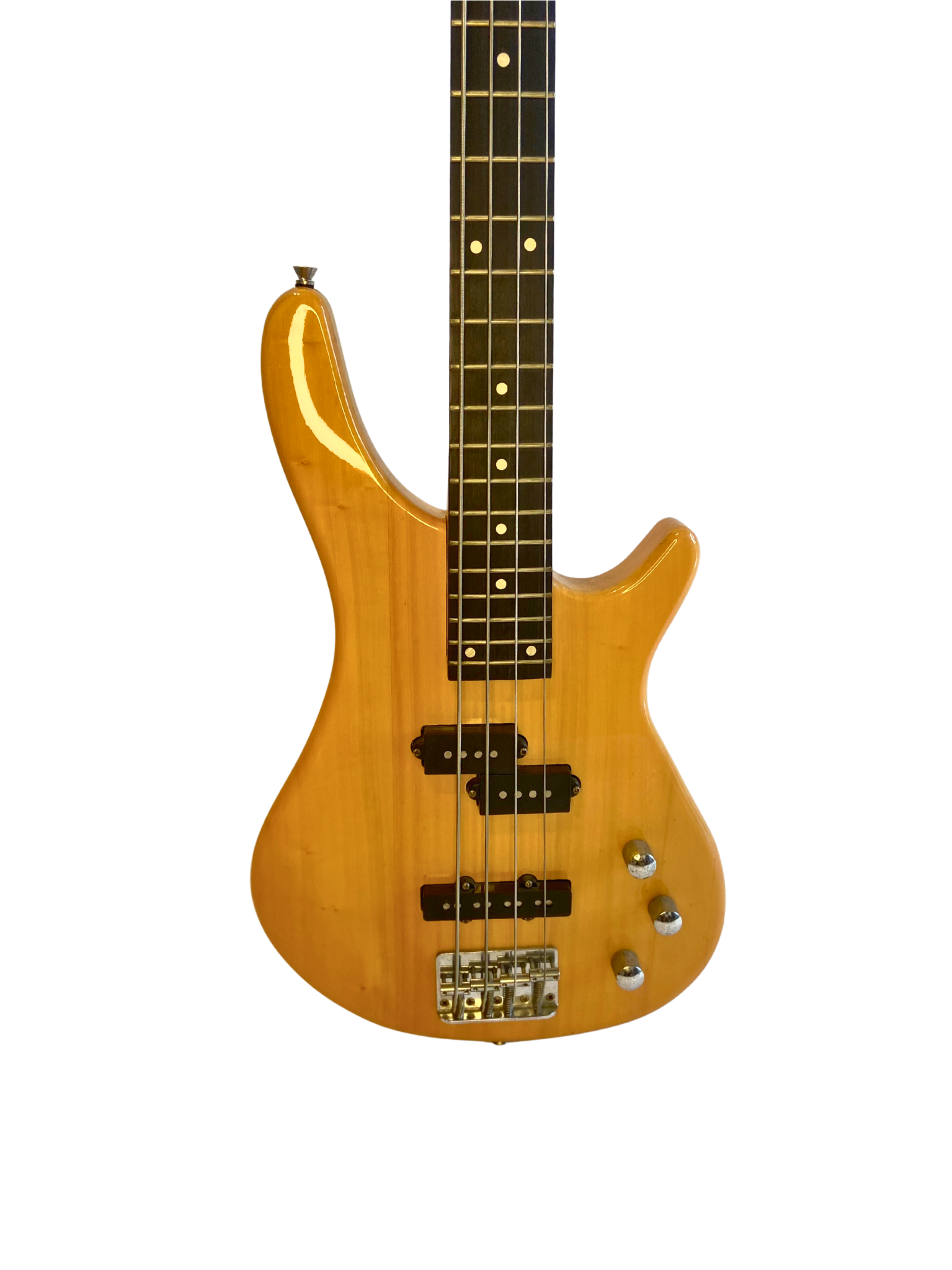 Electric Bass Guitar