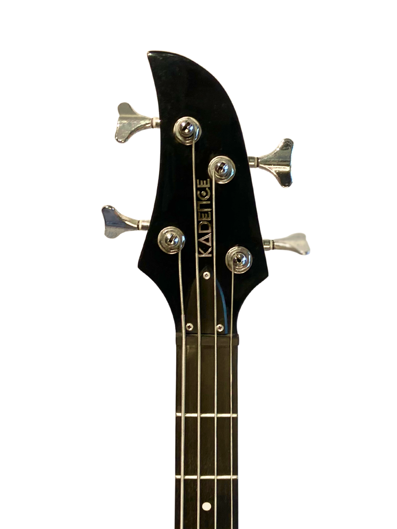 Electric Bass Guitar