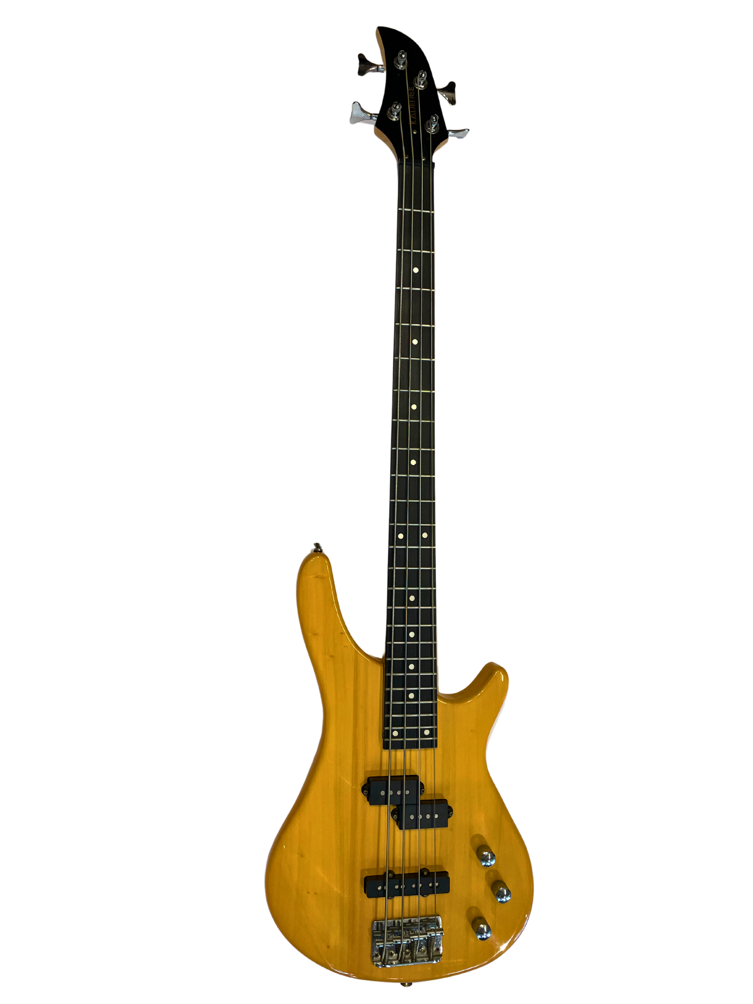Electric Bass Guitar