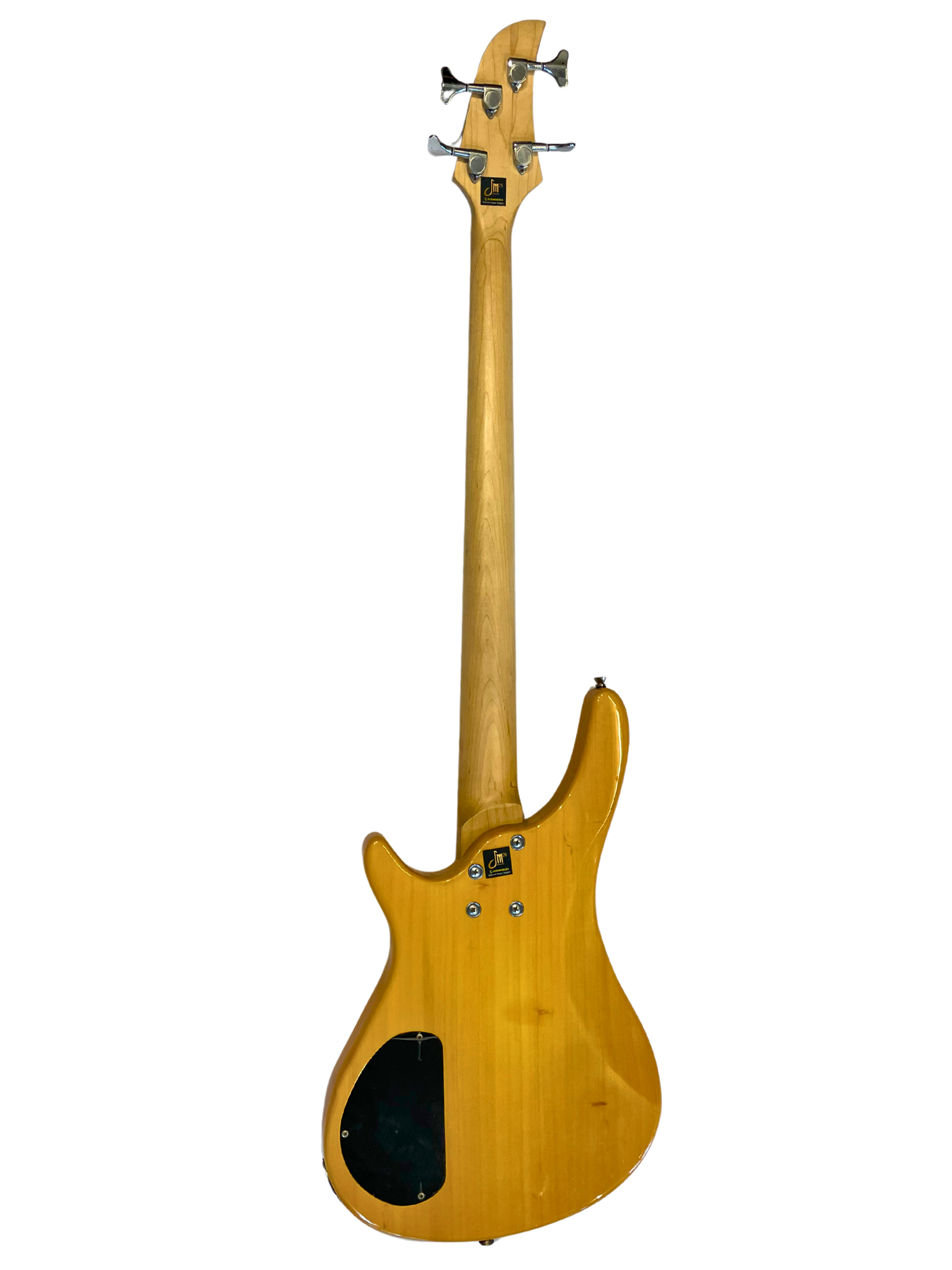 Electric Bass Guitar