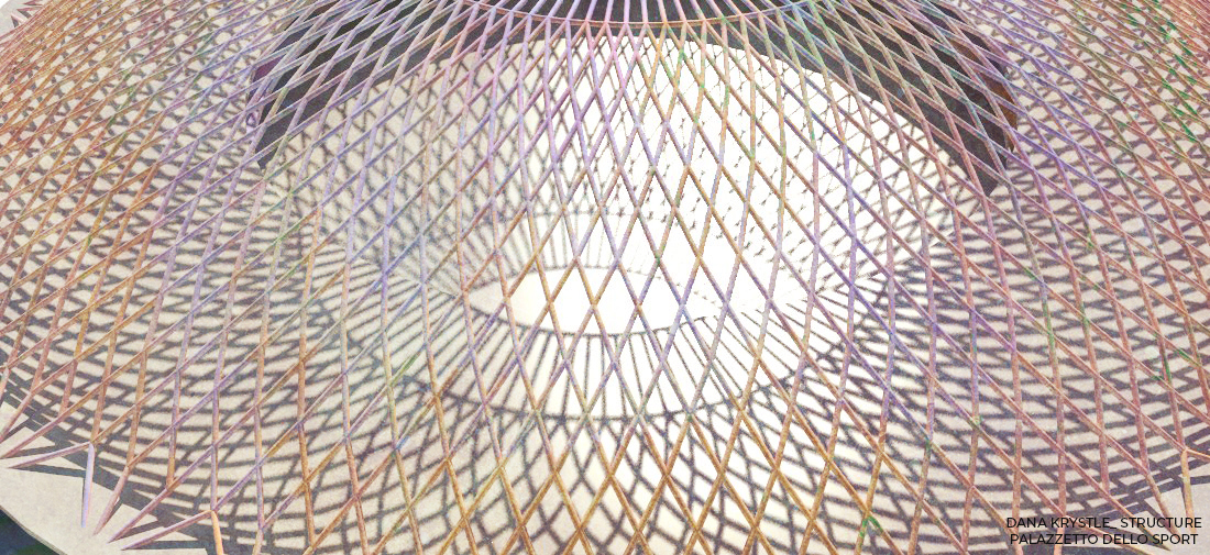 (Grasshopper Script) Structure Palazzetto dello Sport// Case Study
