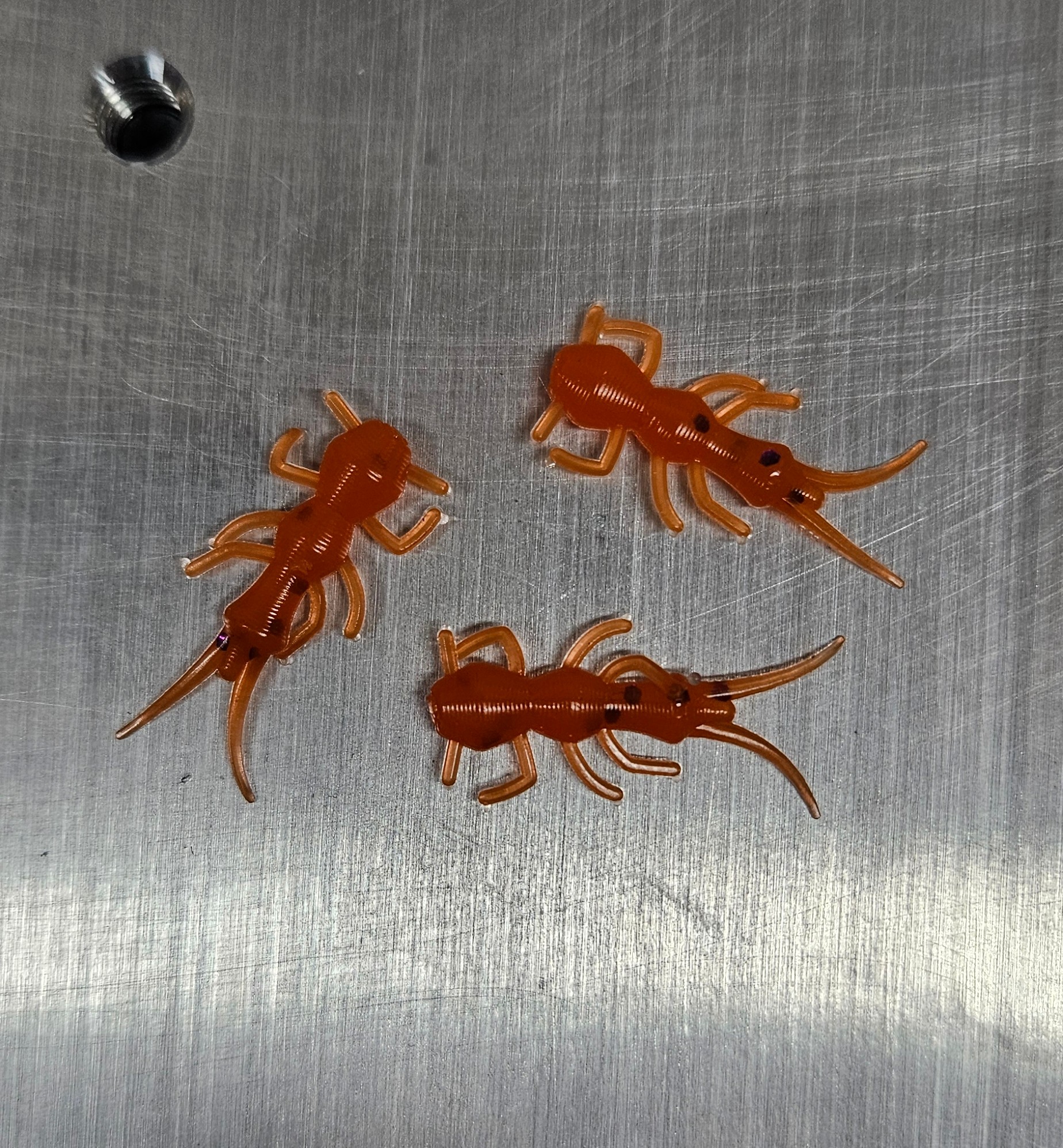 1" Stonefly