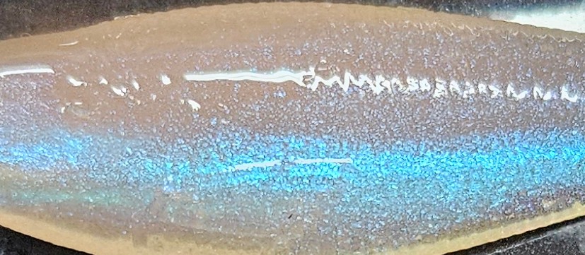 1.7" Paddletail
