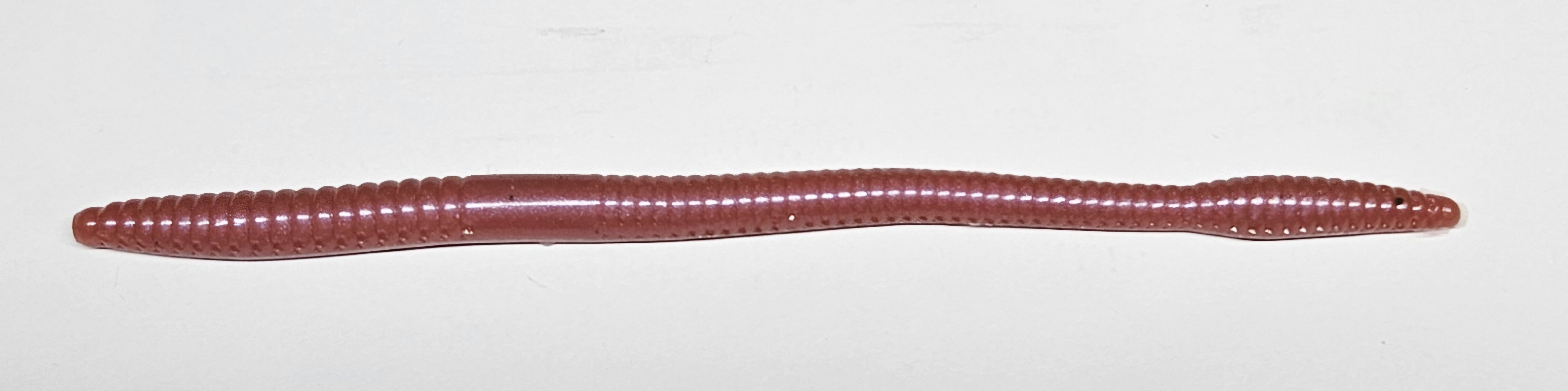 6.5" Flat Worm